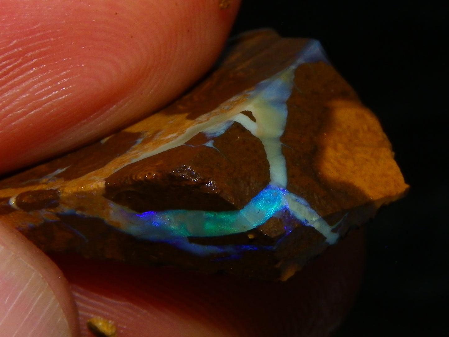 NIce Rough Boulder Opals/Rubbed Specimens 455cts Queensland Australia Fires