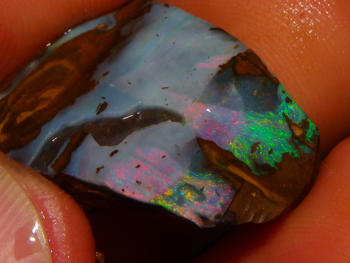 NIce Rough Boulder Opals/Rubbed Specimens 455cts Queensland Australia Fires
