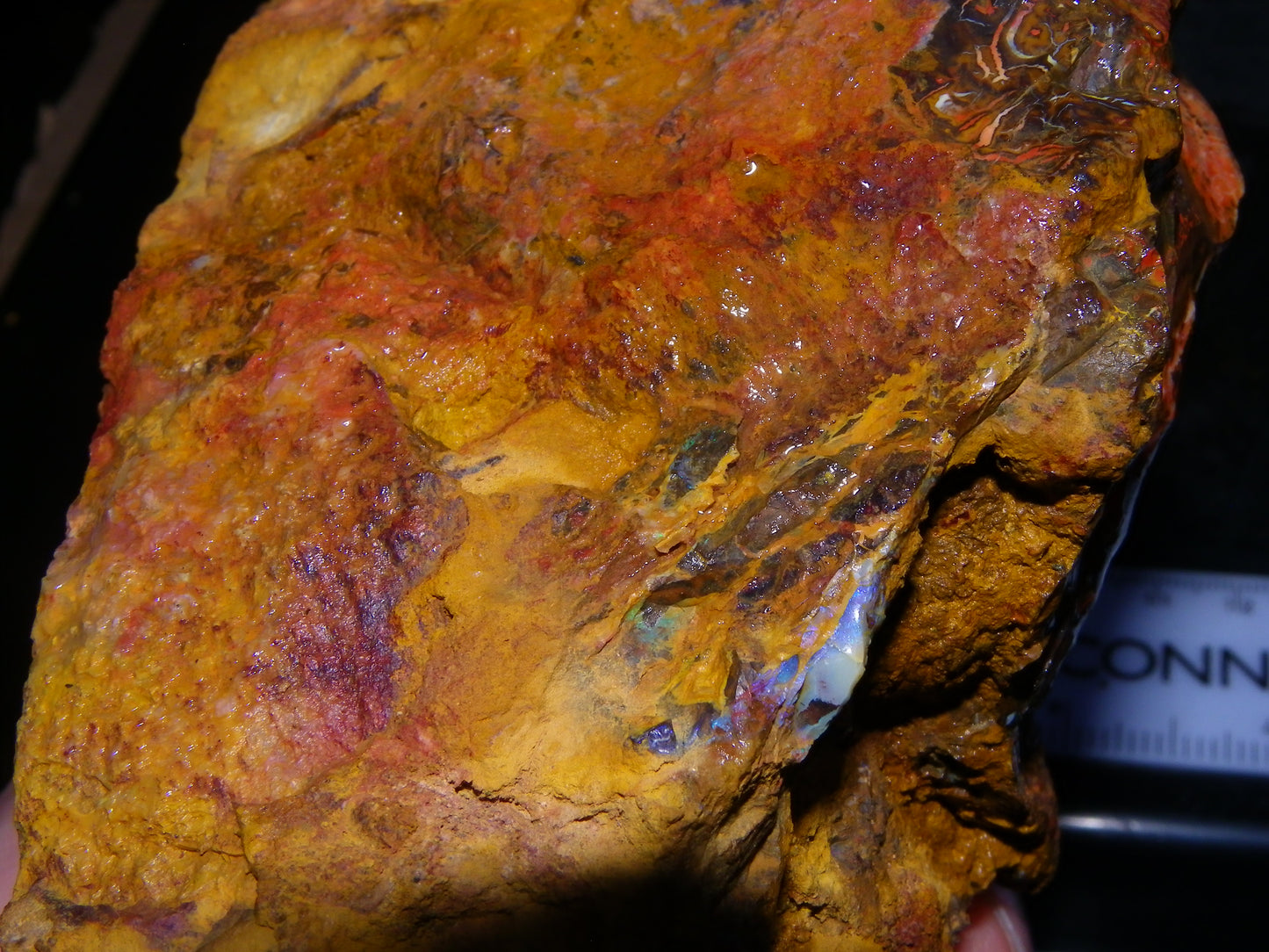 Huge 1498 Gram Sliced Koroit Opal Half Nut Patterns/Purple/Green Fires Queensland Australia