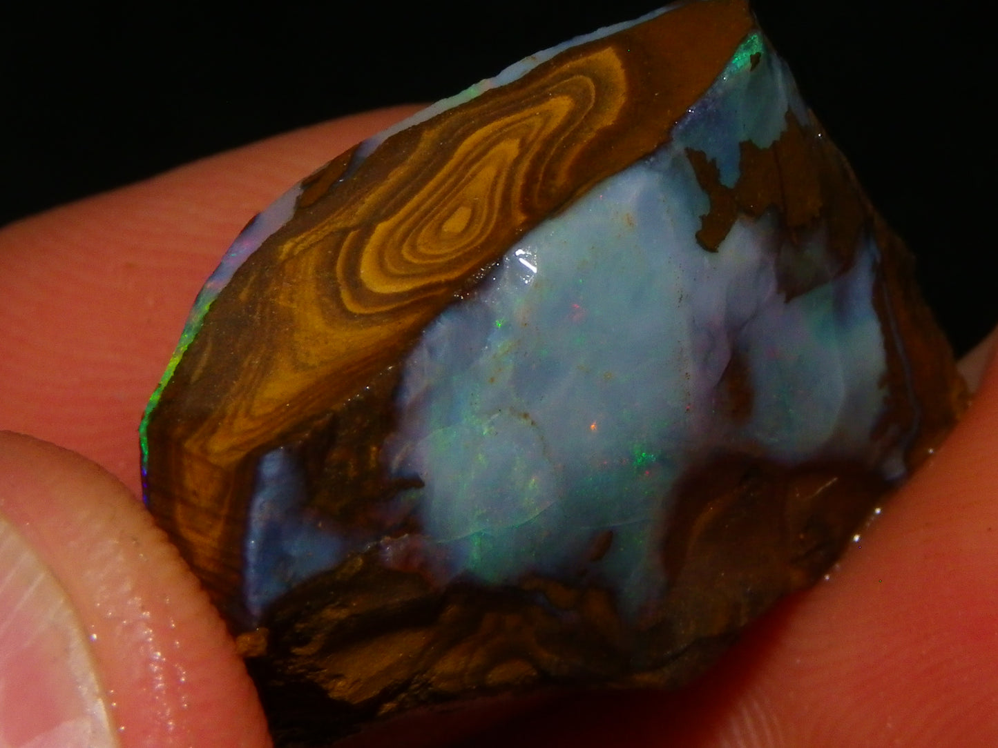 NIce Rough Boulder Opals/Rubbed Specimens 455cts Queensland Australia Fires