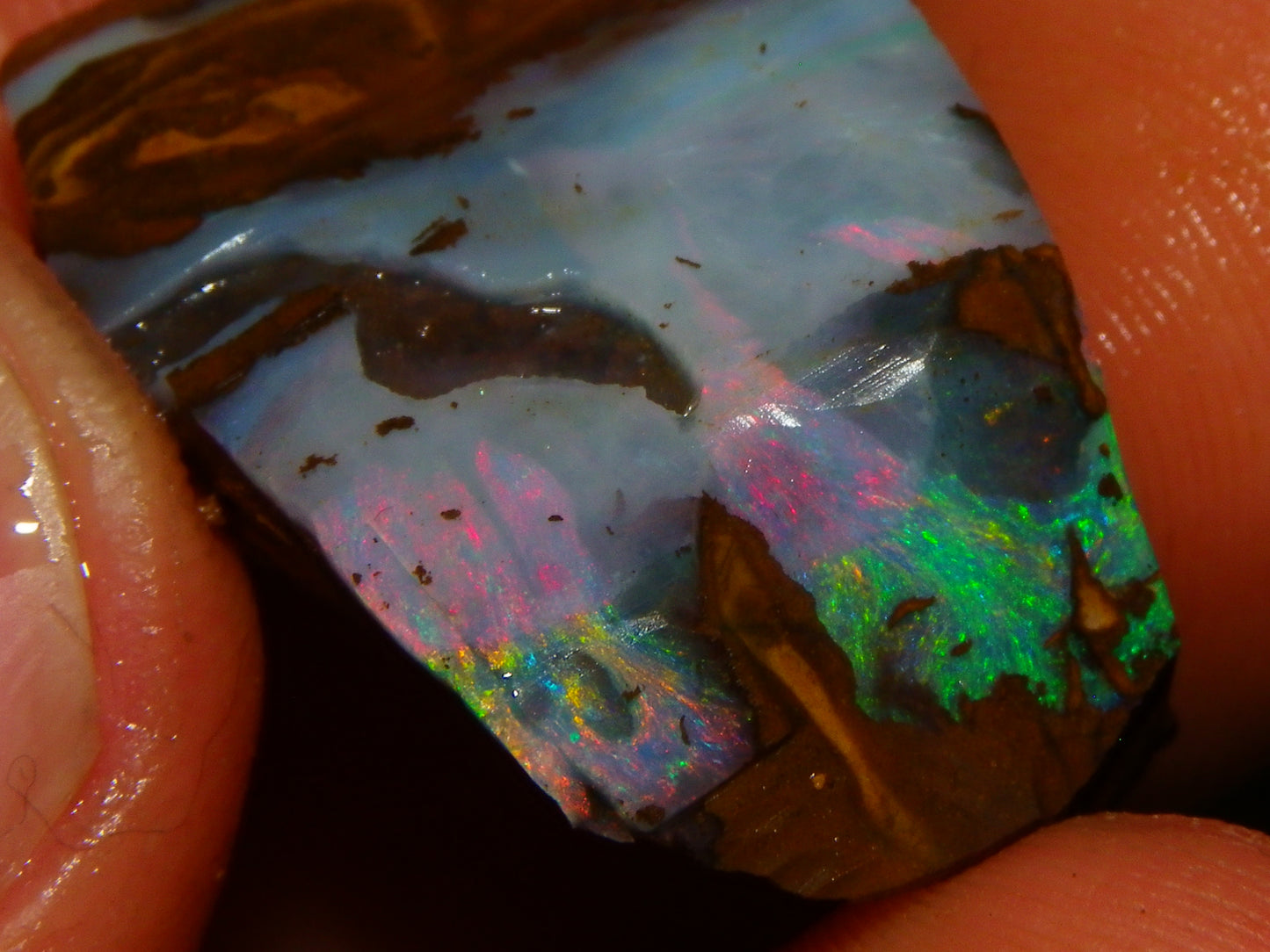 NIce Rough Boulder Opals/Rubbed Specimens 455cts Queensland Australia Fires