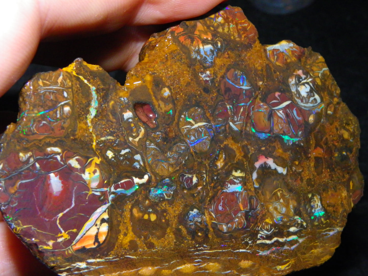 Nice Rough Koroit/Conglomerate Opal Rough 603.5cts Pods/Nuts/Patterns/Fires