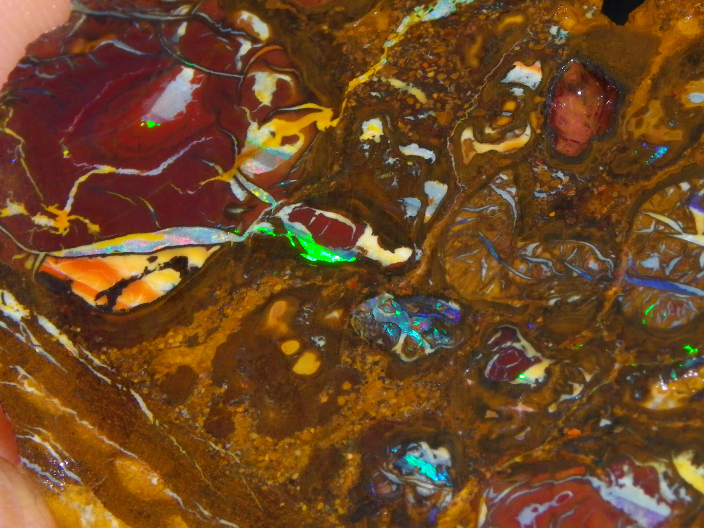 Nice Rough Koroit/Conglomerate Opal Rough 603.5cts Pods/Nuts/Patterns/Fires