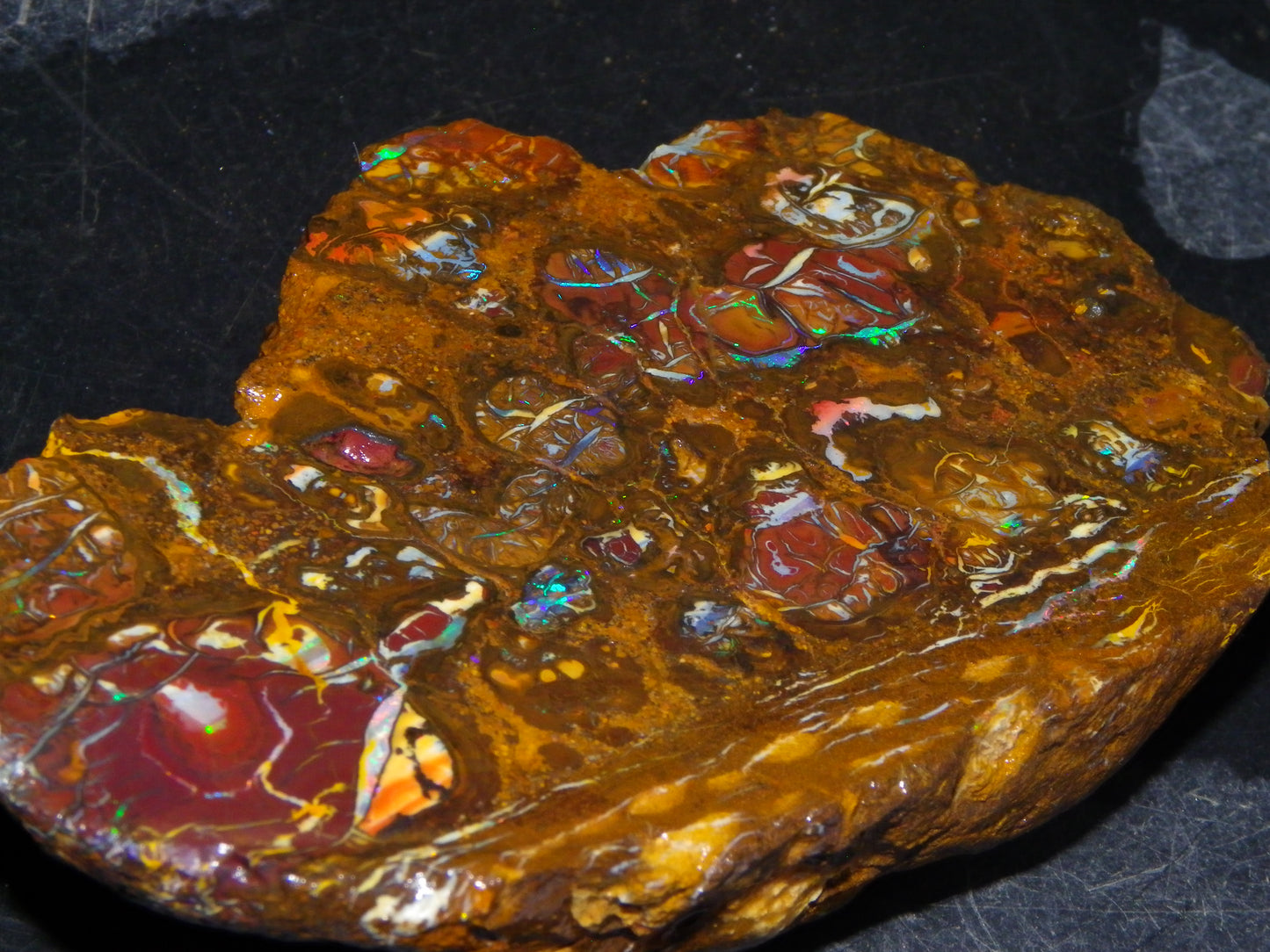 Nice Rough Koroit/Conglomerate Opal Rough 603.5cts Pods/Nuts/Patterns/Fires