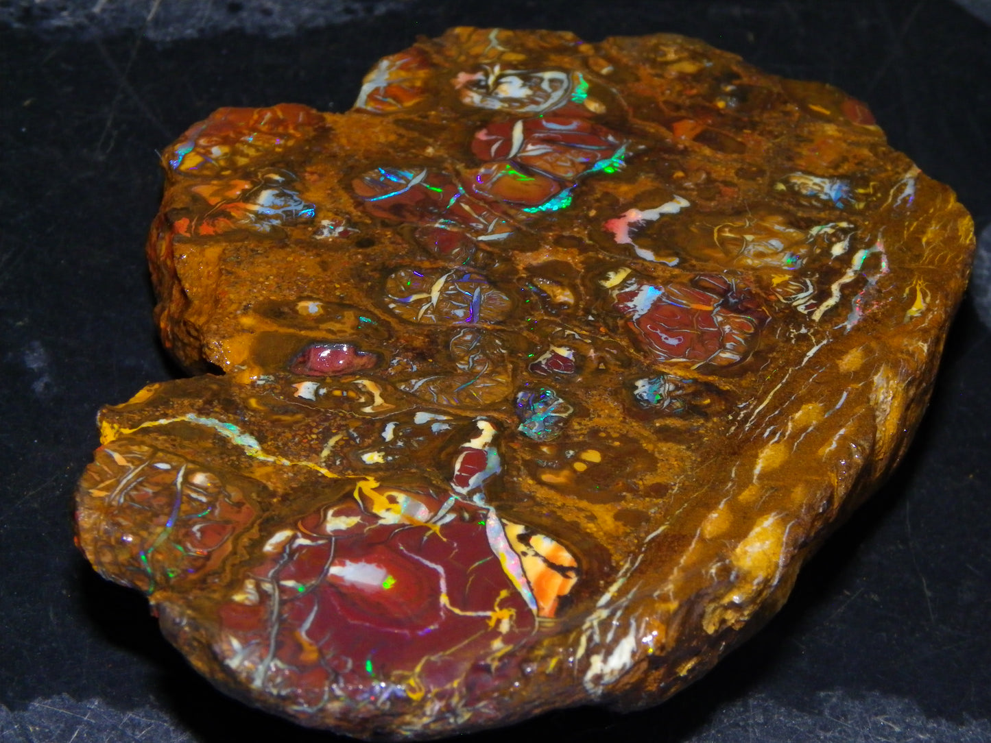Nice Rough Koroit/Conglomerate Opal Rough 603.5cts Pods/Nuts/Patterns/Fires