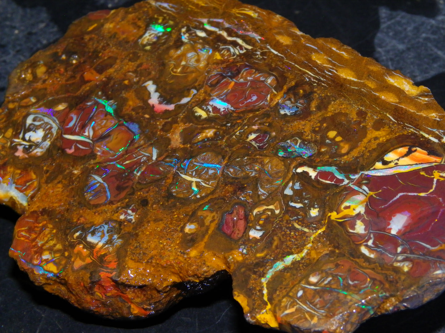 Nice Rough Koroit/Conglomerate Opal Rough 603.5cts Pods/Nuts/Patterns/Fires