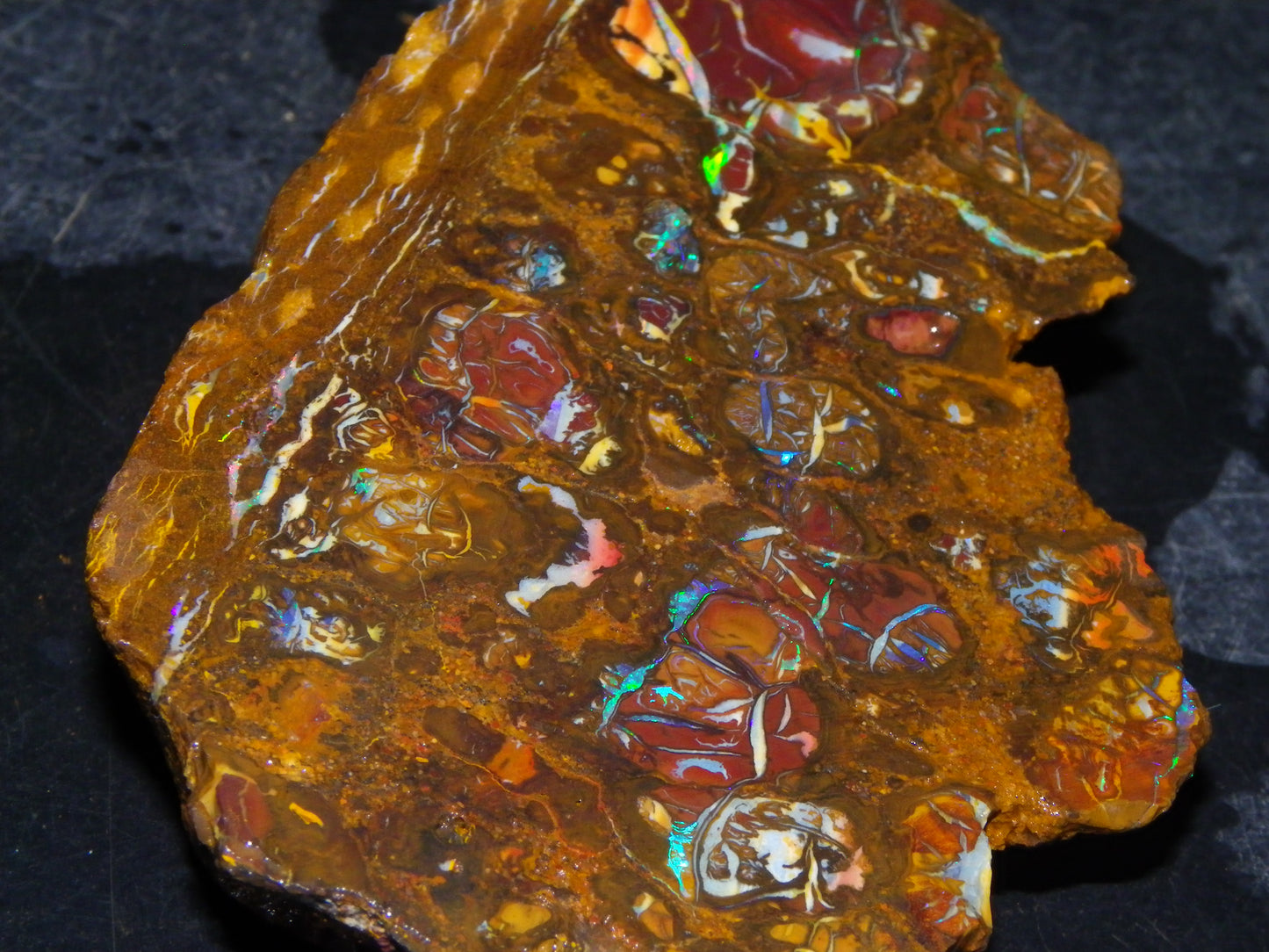 Nice Rough Koroit/Conglomerate Opal Rough 603.5cts Pods/Nuts/Patterns/Fires