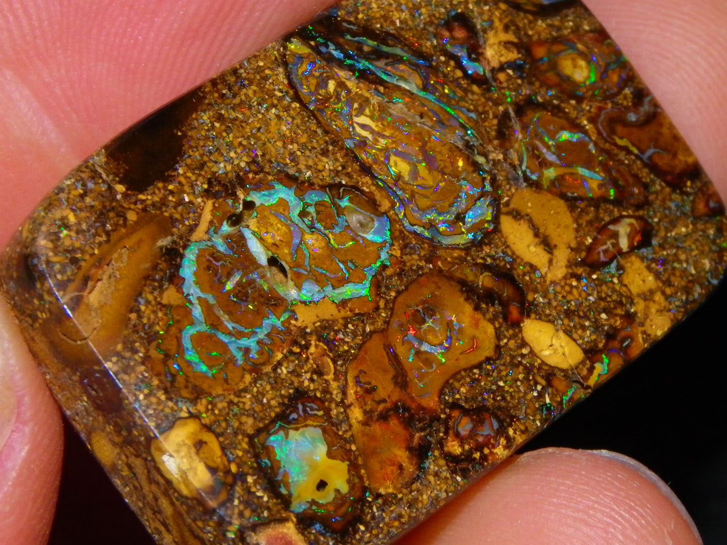 Interesting Polished Koroit Opal Specimen 98.24cts Conglomerate Nuts/Fires Queensland