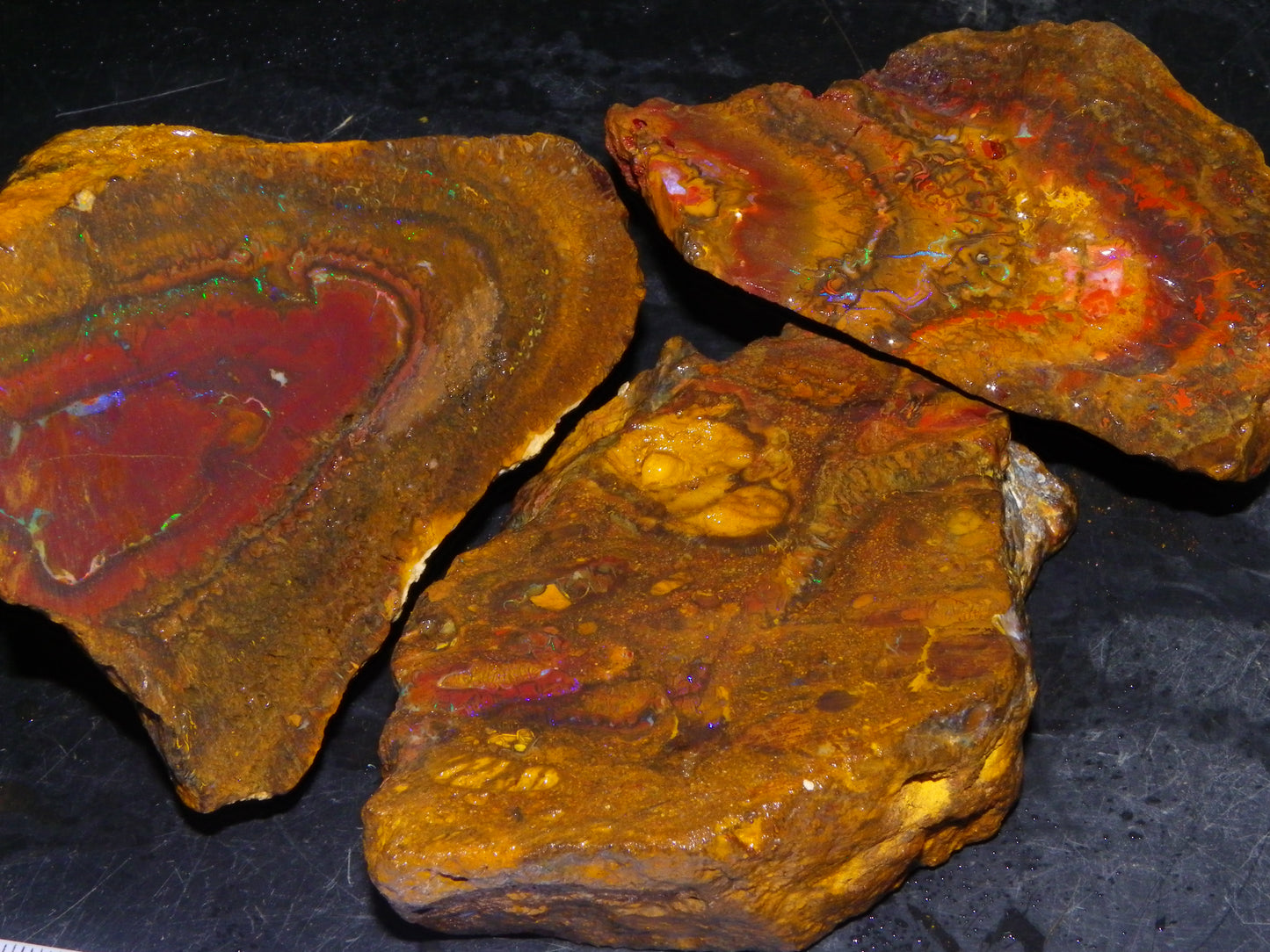 Larger Parcel 4126cts Rough Koroit Slabs x3 Patterns Some Fires Queensland Australia