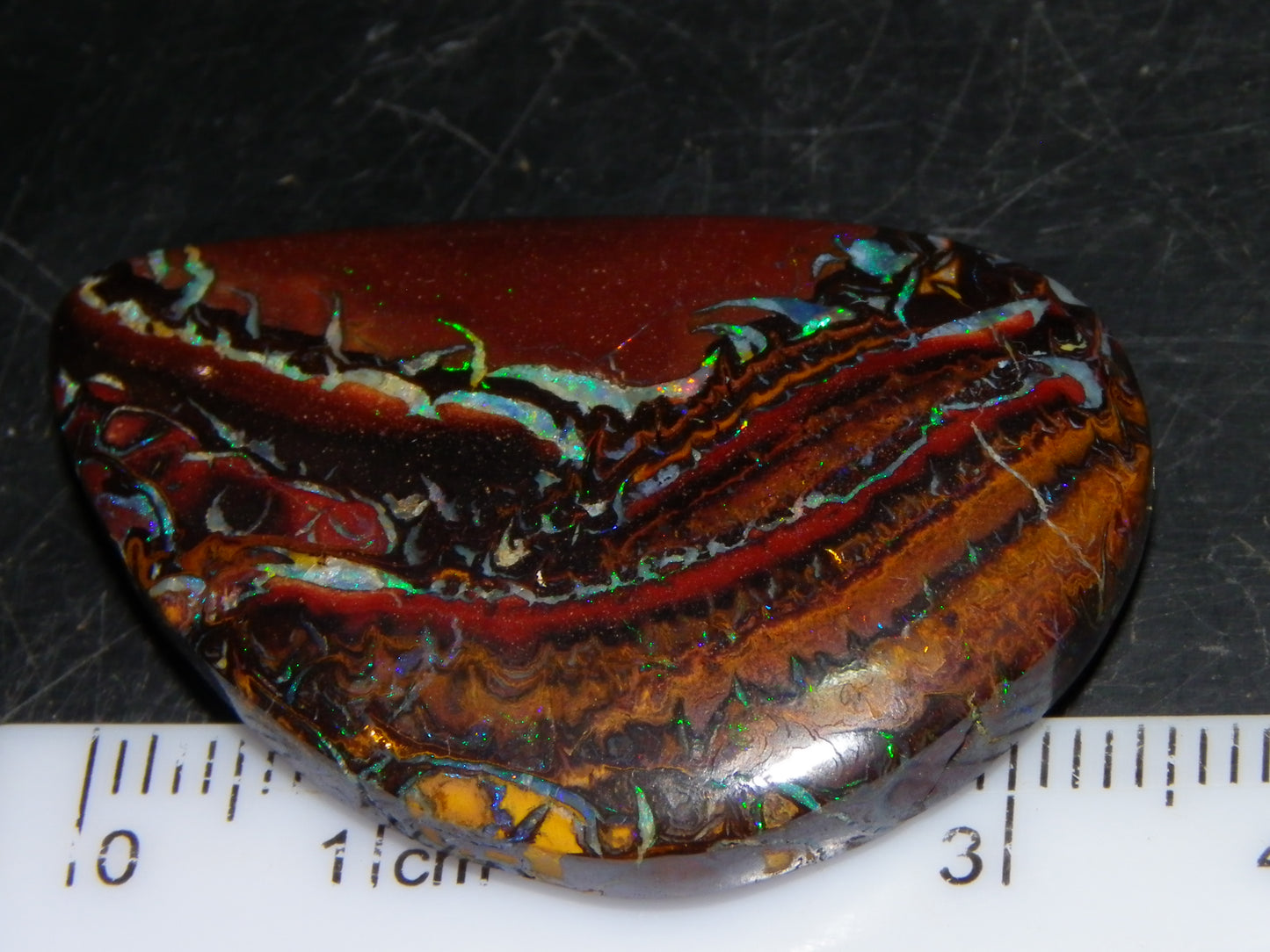 Nice Cut/Polished Koroit Opal Cab/Freeform 59.4cts Patterns/Fires Queensland Au