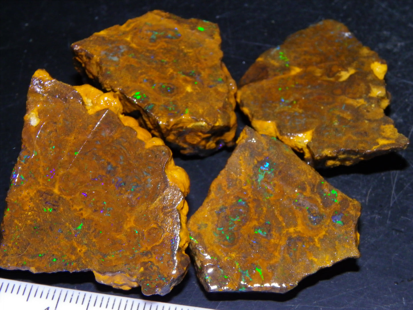 NIce Rough/Sliced Matrix Opal Parcel 282.5cts Opalton Qld Australia Green Fires