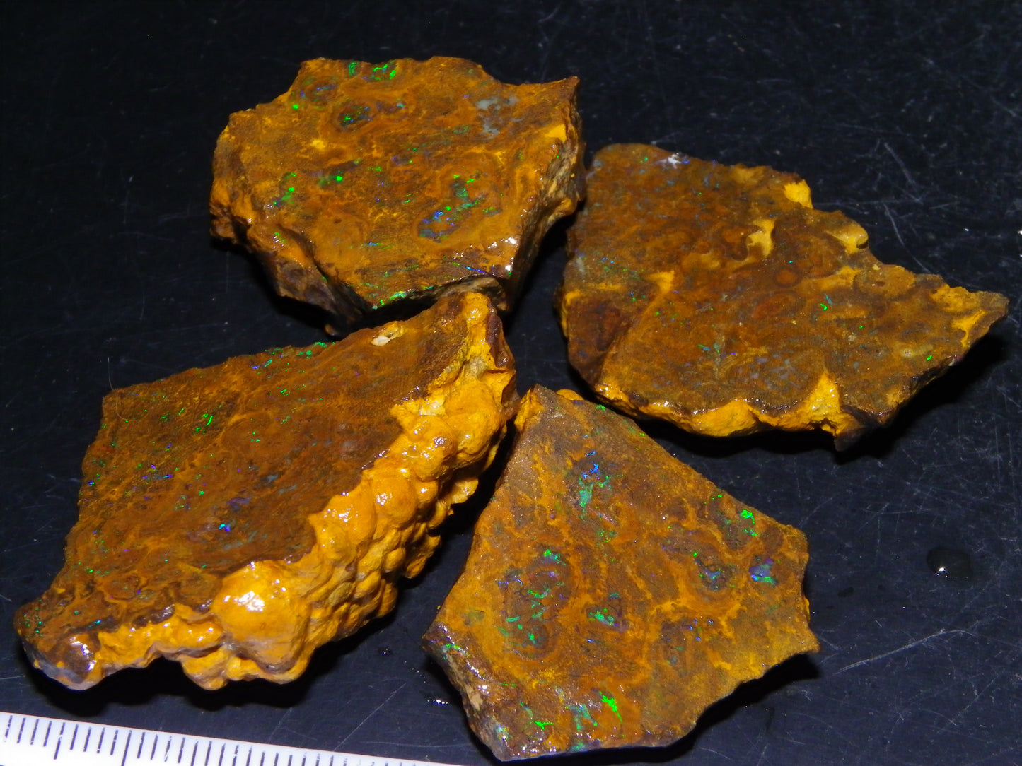 NIce Rough/Sliced Matrix Opal Parcel 282.5cts Opalton Qld Australia Green Fires