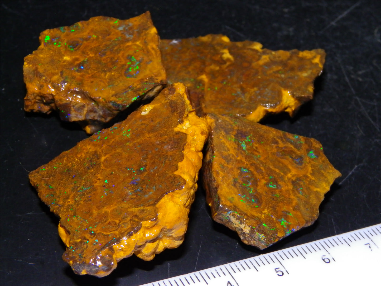 NIce Rough/Sliced Matrix Opal Parcel 282.5cts Opalton Qld Australia Green Fires