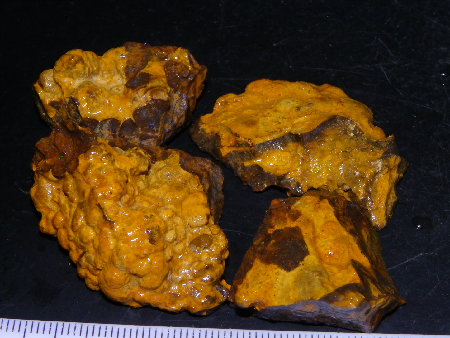 NIce Rough/Sliced Matrix Opal Parcel 282.5cts Opalton Qld Australia Green Fires