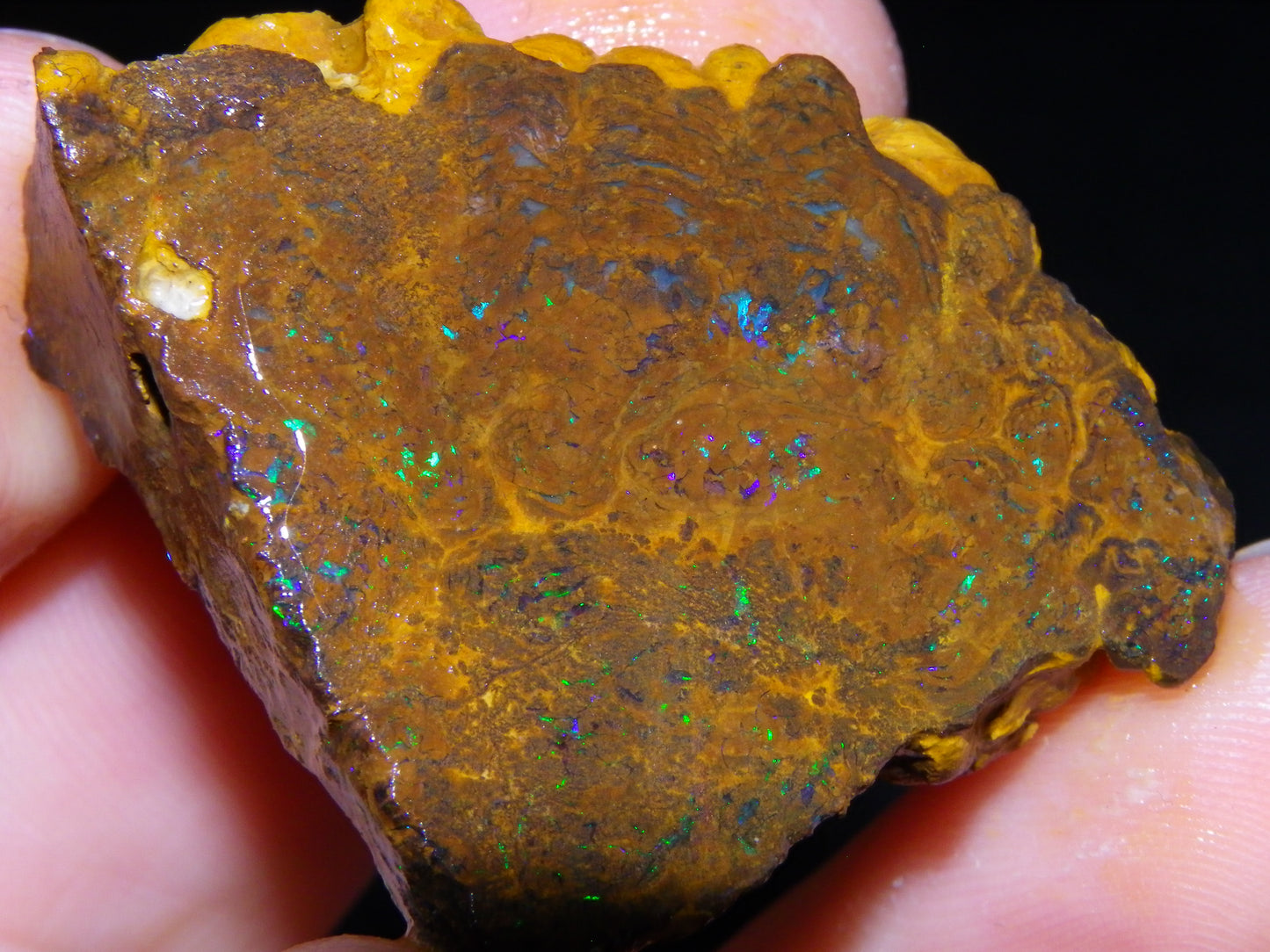 NIce Rough/Sliced Matrix Opal Parcel 282.5cts Opalton Qld Australia Green Fires