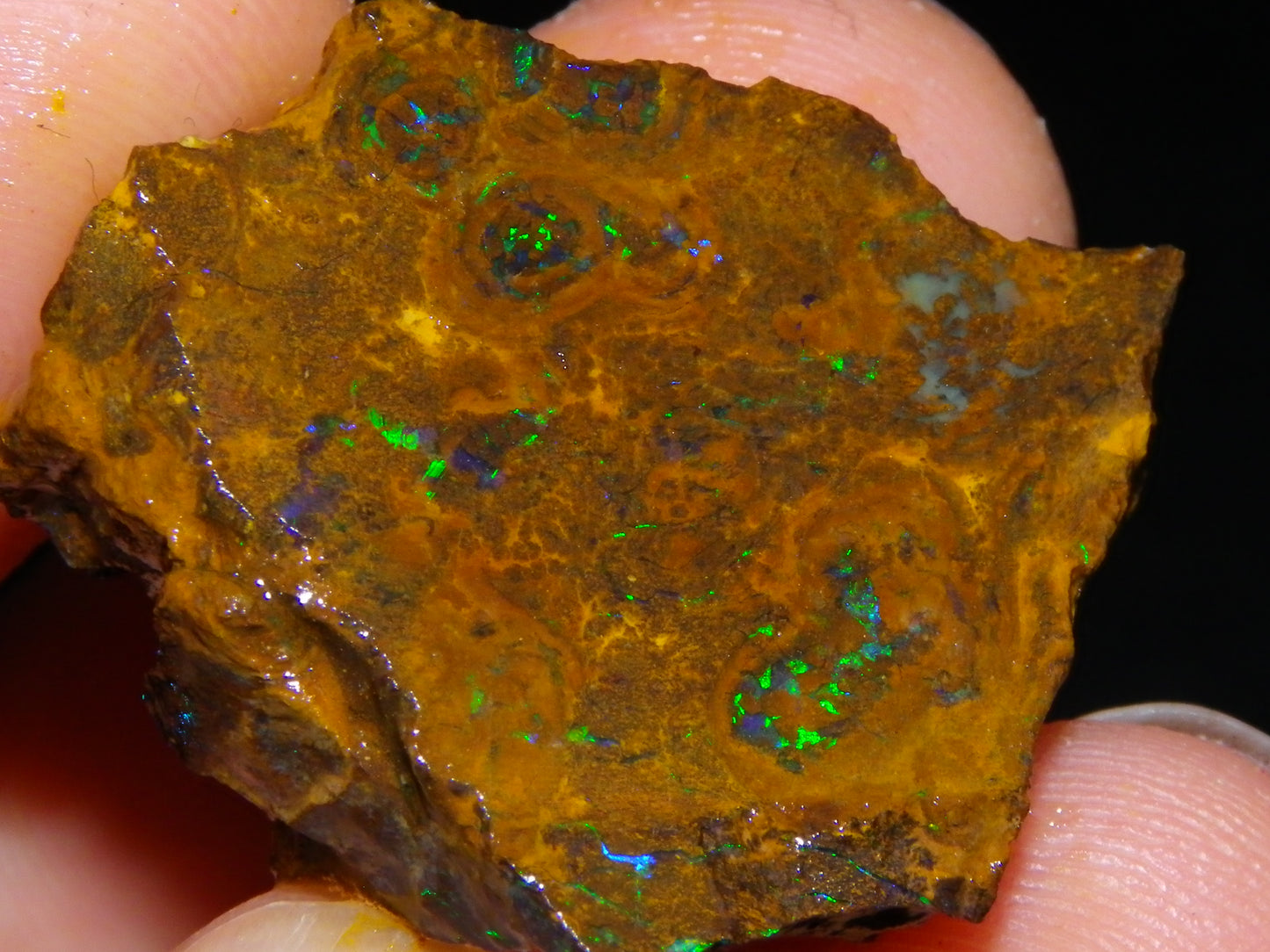 NIce Rough/Sliced Matrix Opal Parcel 282.5cts Opalton Qld Australia Green Fires