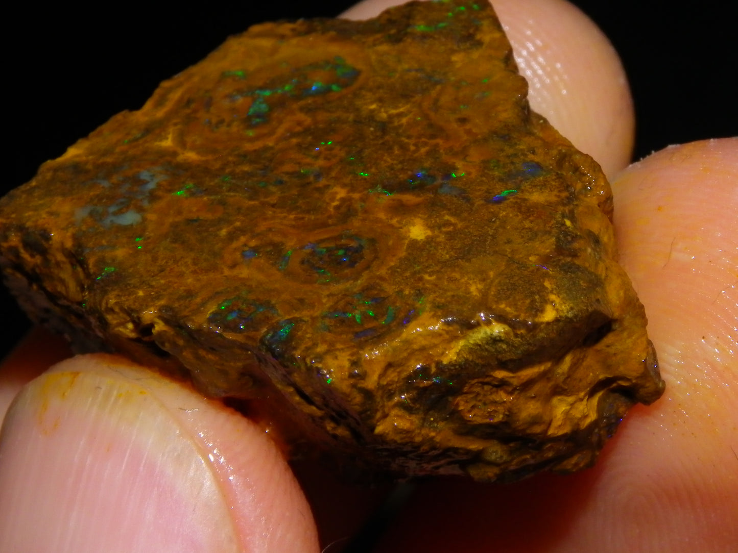 NIce Rough/Sliced Matrix Opal Parcel 282.5cts Opalton Qld Australia Green Fires