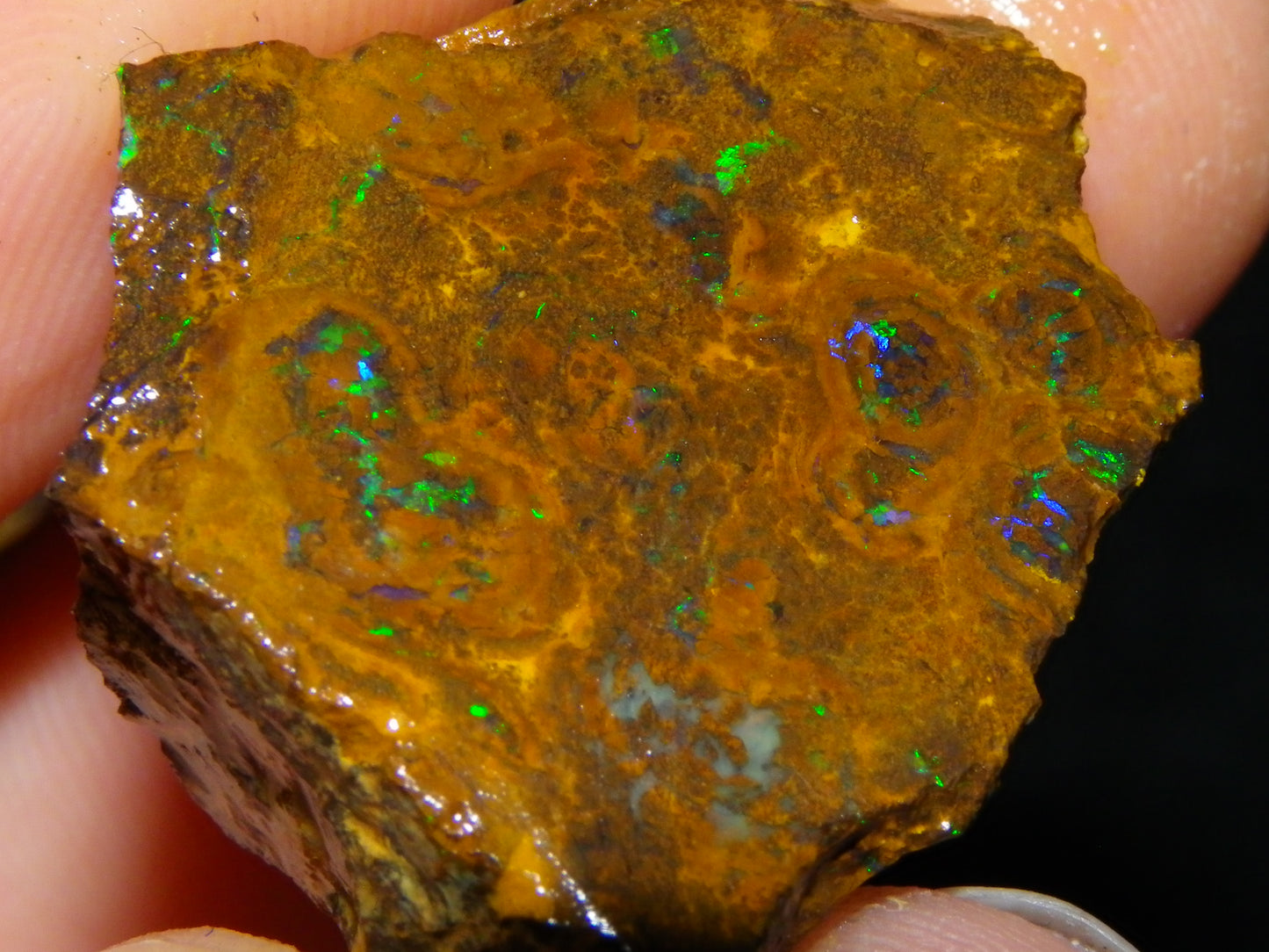 NIce Rough/Sliced Matrix Opal Parcel 282.5cts Opalton Qld Australia Green Fires