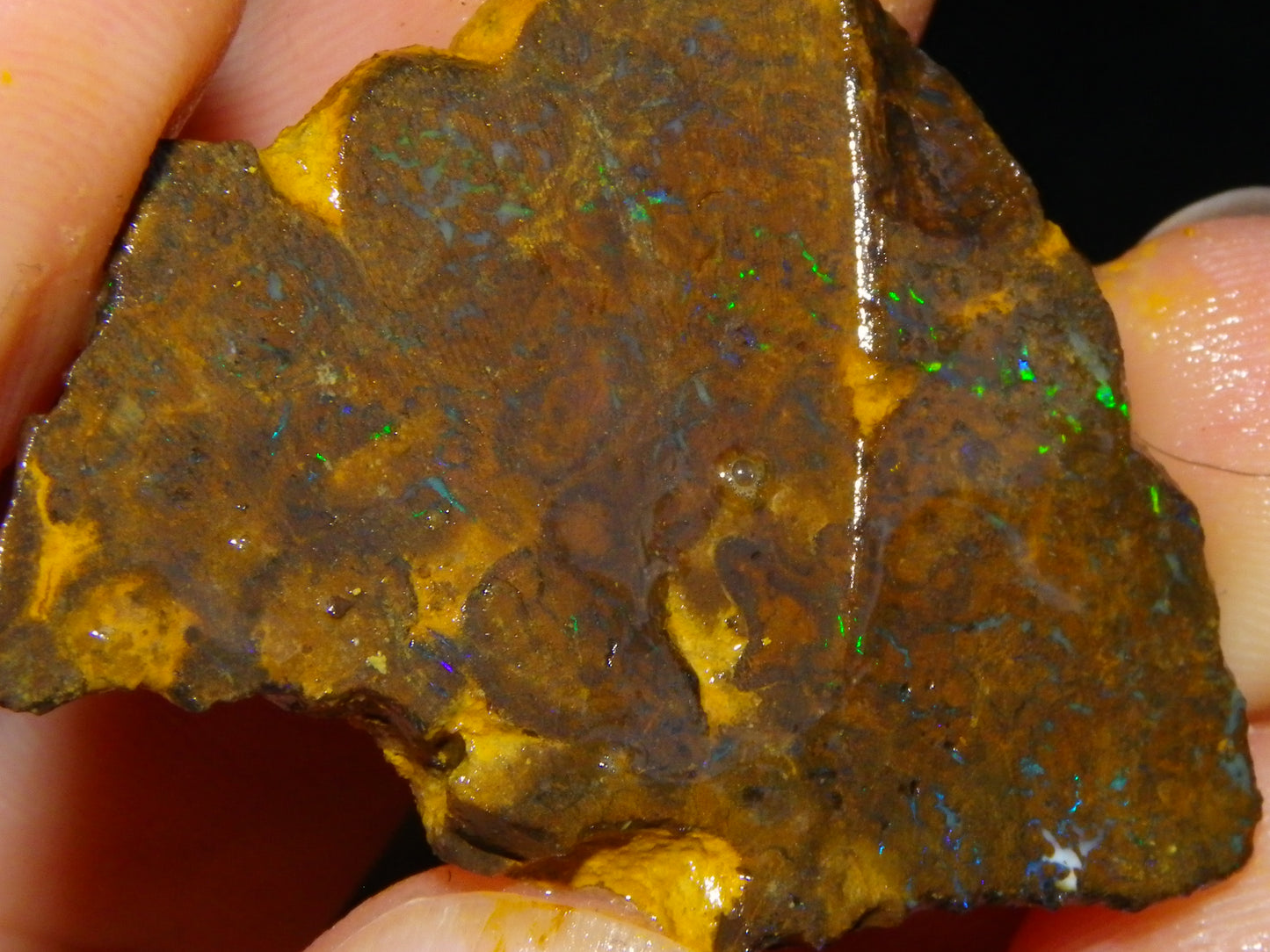 NIce Rough/Sliced Matrix Opal Parcel 282.5cts Opalton Qld Australia Green Fires