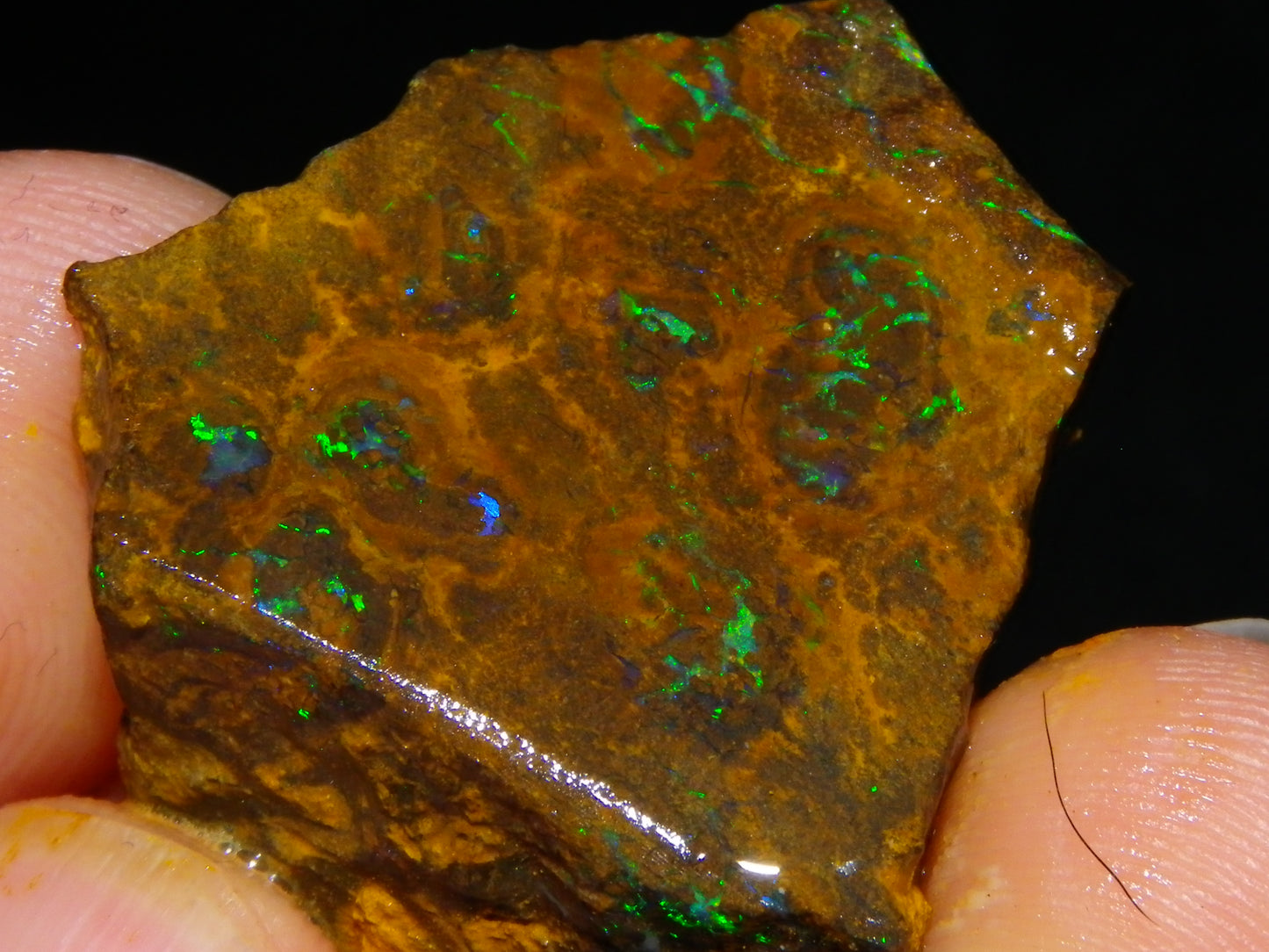 NIce Rough/Sliced Matrix Opal Parcel 282.5cts Opalton Qld Australia Green Fires