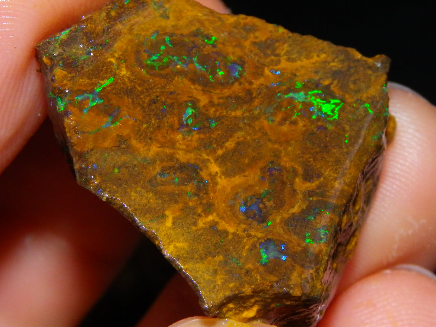 NIce Rough/Sliced Matrix Opal Parcel 282.5cts Opalton Qld Australia Green Fires