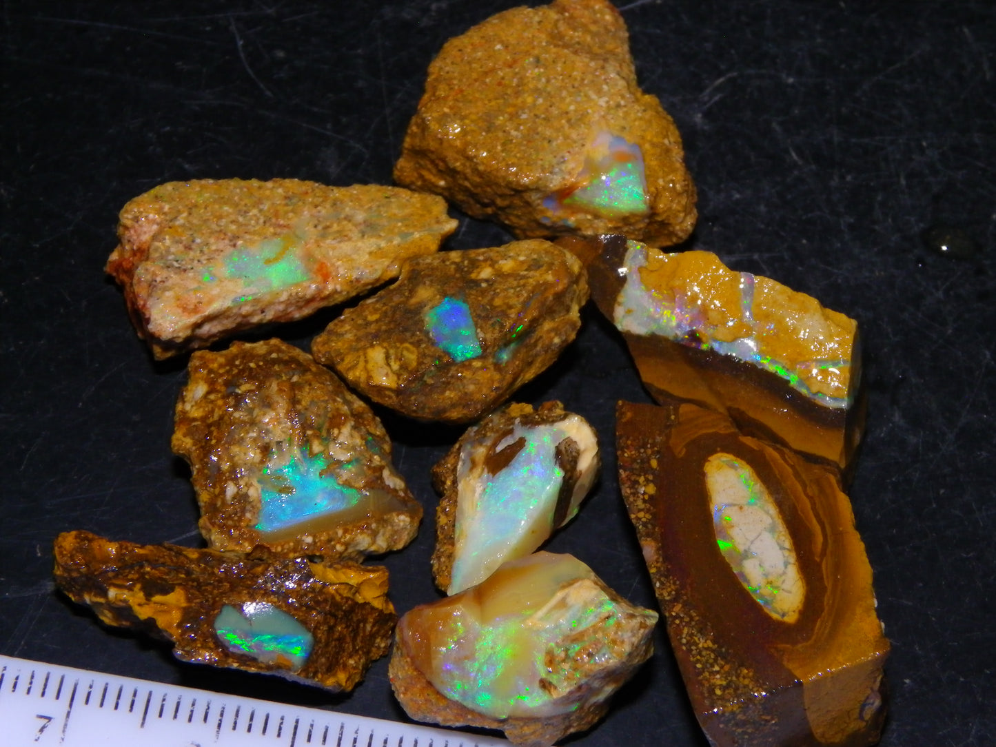 Nice Rough Opalton Nut/Pipe Opal Parcel/Specimens 129cts Green/Blue Fires/Crystal Qld Au