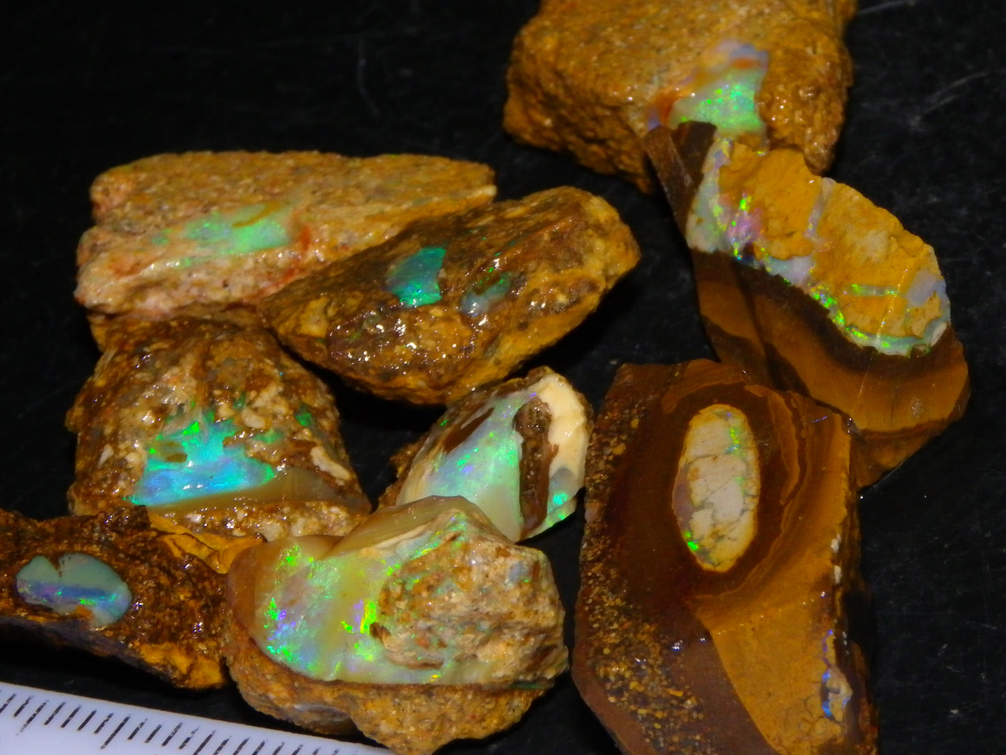Nice Rough Opalton Nut/Pipe Opal Parcel/Specimens 129cts Green/Blue Fires/Crystal Qld Au