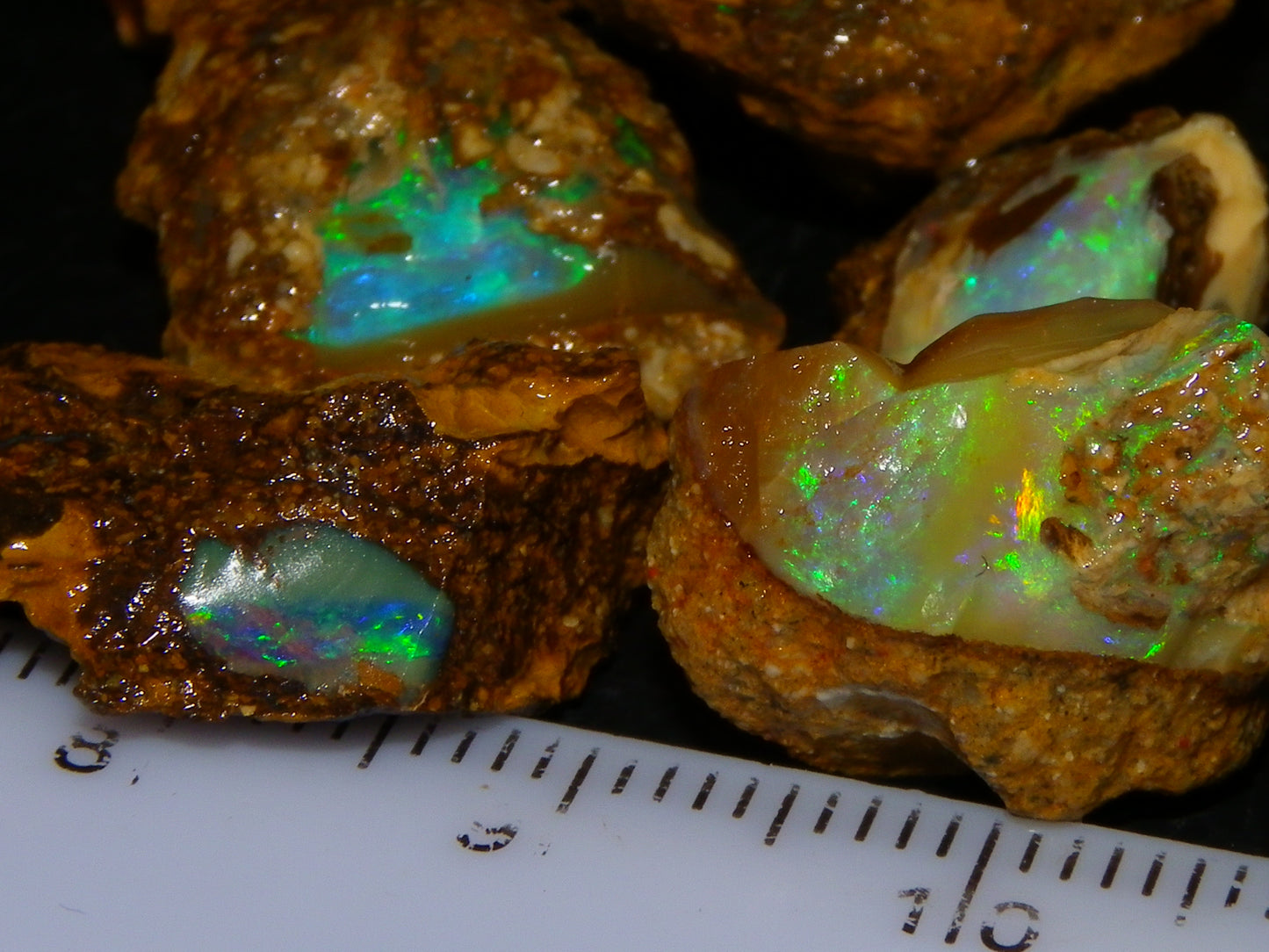 Nice Rough Opalton Nut/Pipe Opal Parcel/Specimens 129cts Green/Blue Fires/Crystal Qld Au