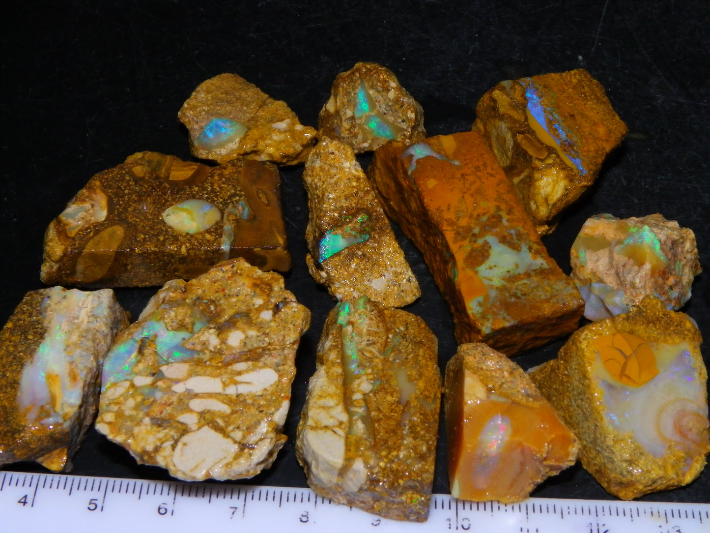 Nice Rough Sliced Opalton Fossil/Crystal/Boulder Opals 615cts Green/Blue Fires/Pattern