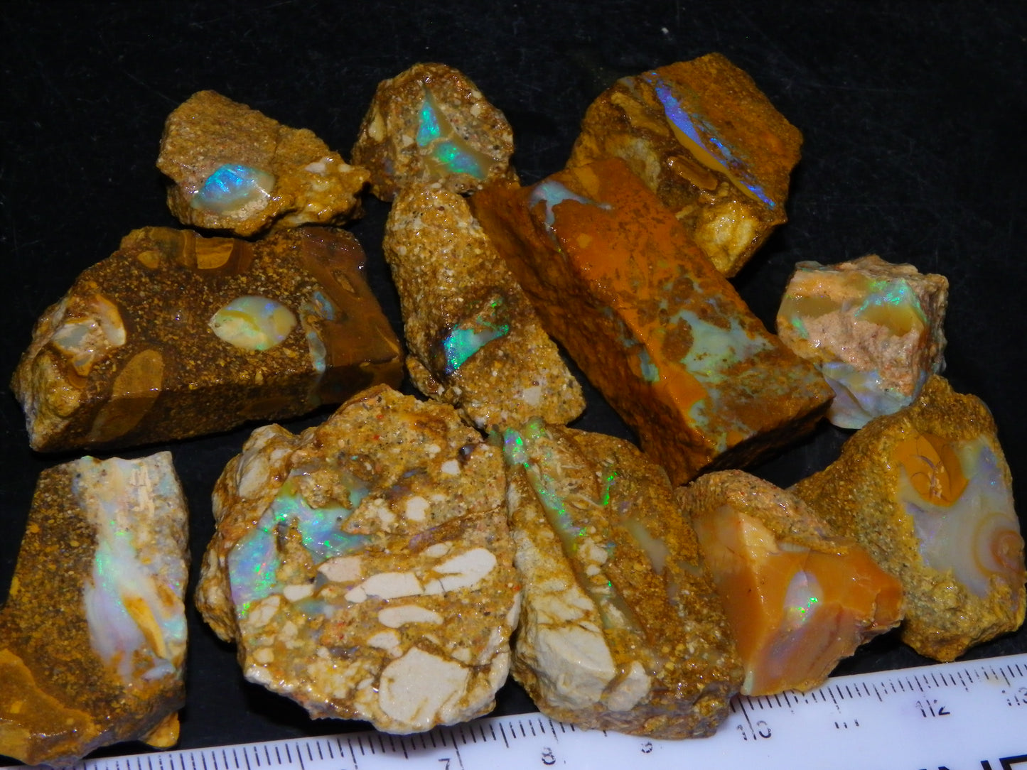 Nice Rough Sliced Opalton Fossil/Crystal/Boulder Opals 615cts Green/Blue Fires/Pattern