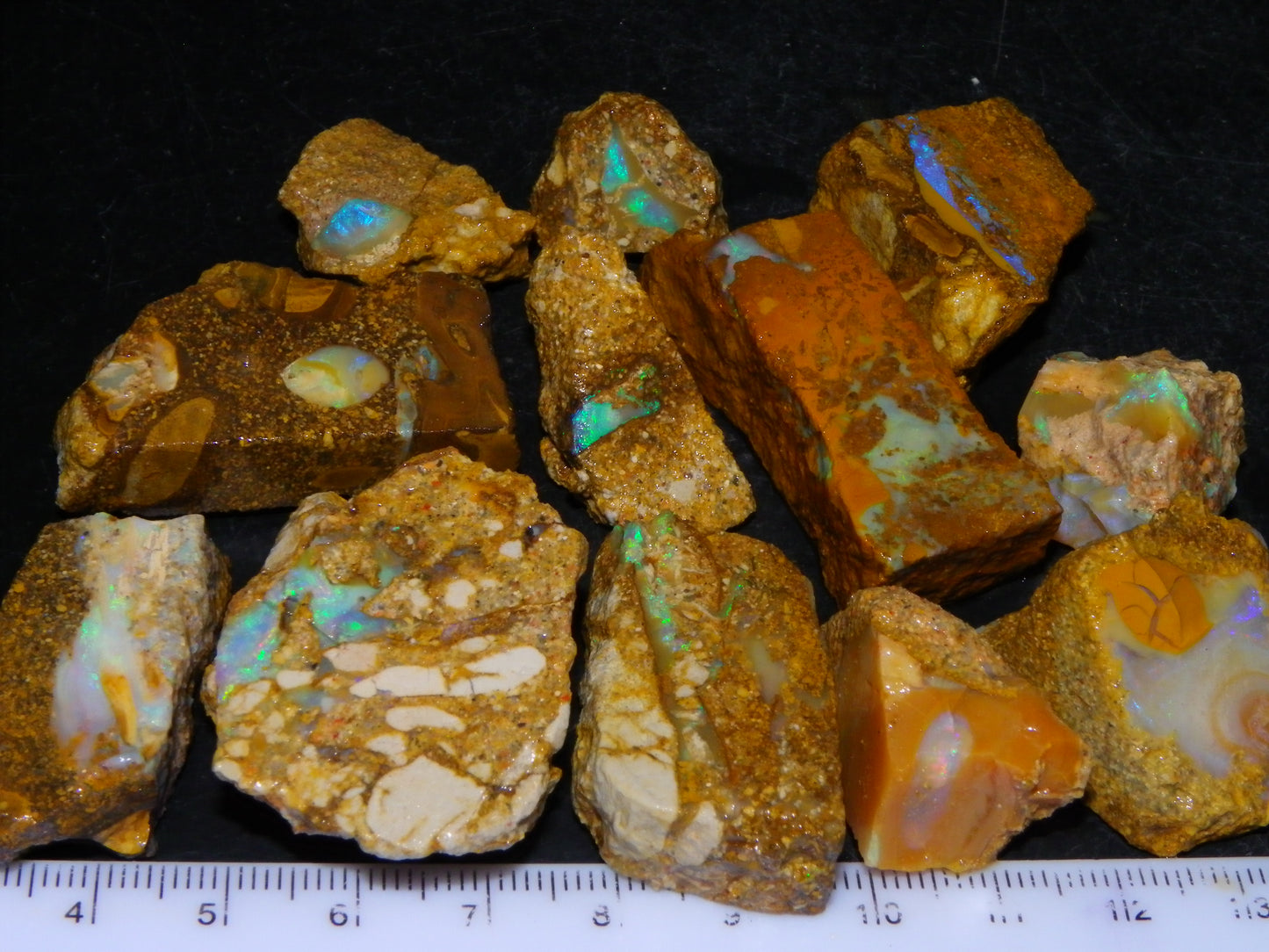 Nice Rough Sliced Opalton Fossil/Crystal/Boulder Opals 615cts Green/Blue Fires/Pattern