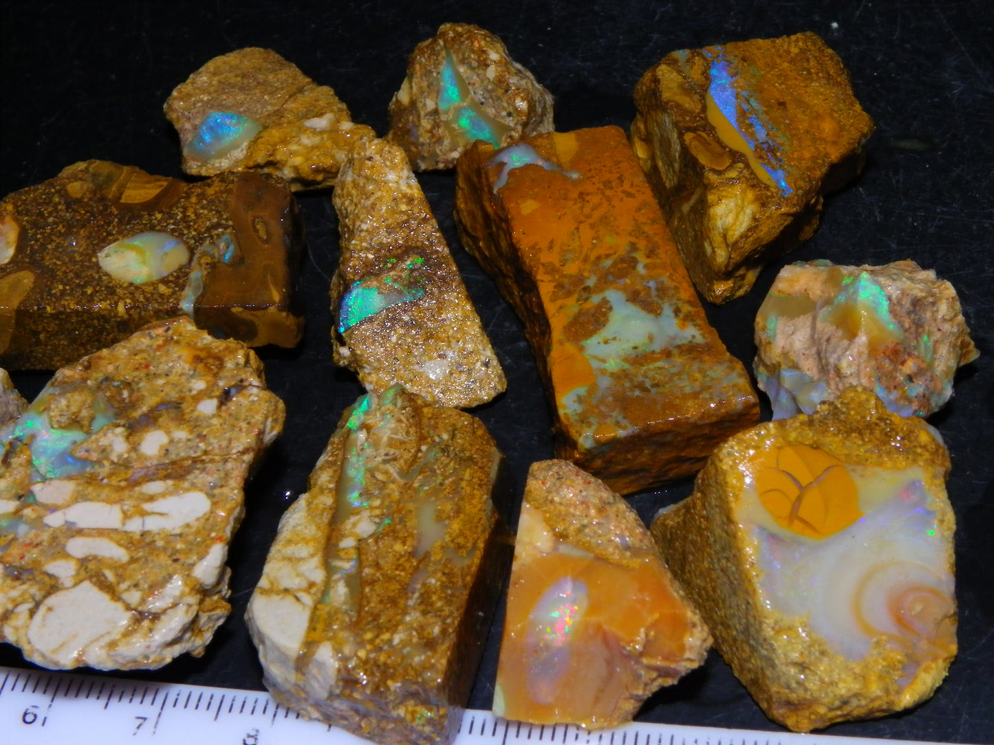 Nice Rough Sliced Opalton Fossil/Crystal/Boulder Opals 615cts Green/Blue Fires/Pattern