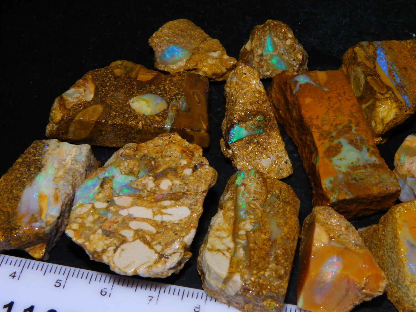 Nice Rough Sliced Opalton Fossil/Crystal/Boulder Opals 615cts Green/Blue Fires/Pattern