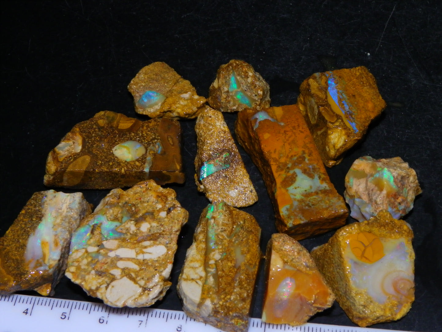 Nice Rough Sliced Opalton Fossil/Crystal/Boulder Opals 615cts Green/Blue Fires/Pattern