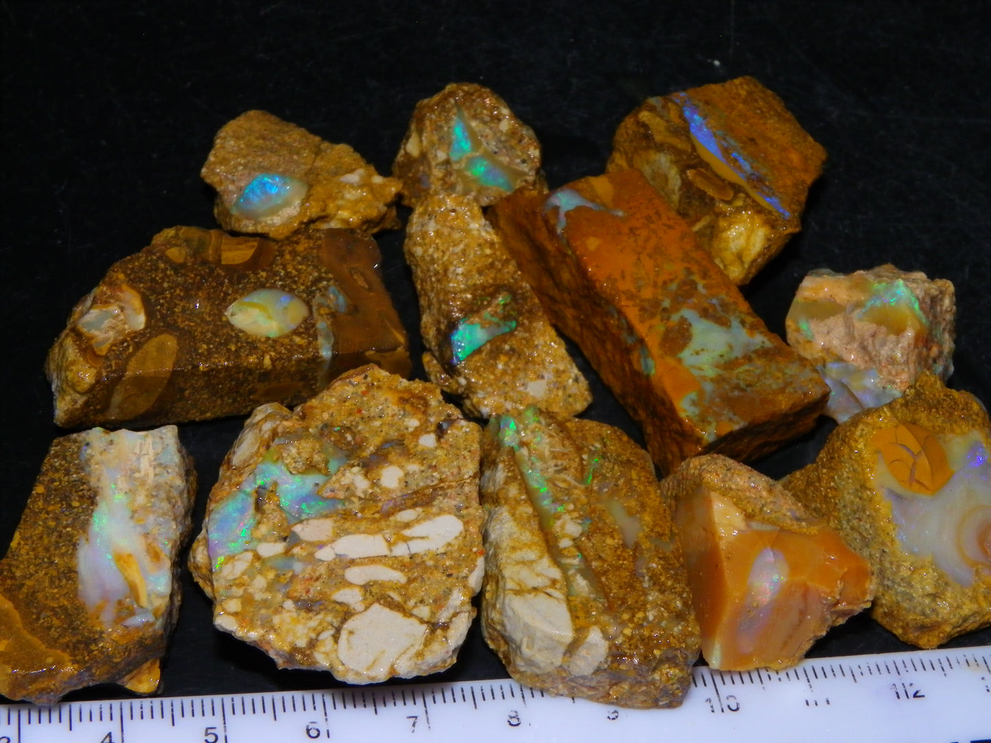 Nice Rough Sliced Opalton Fossil/Crystal/Boulder Opals 615cts Green/Blue Fires/Pattern