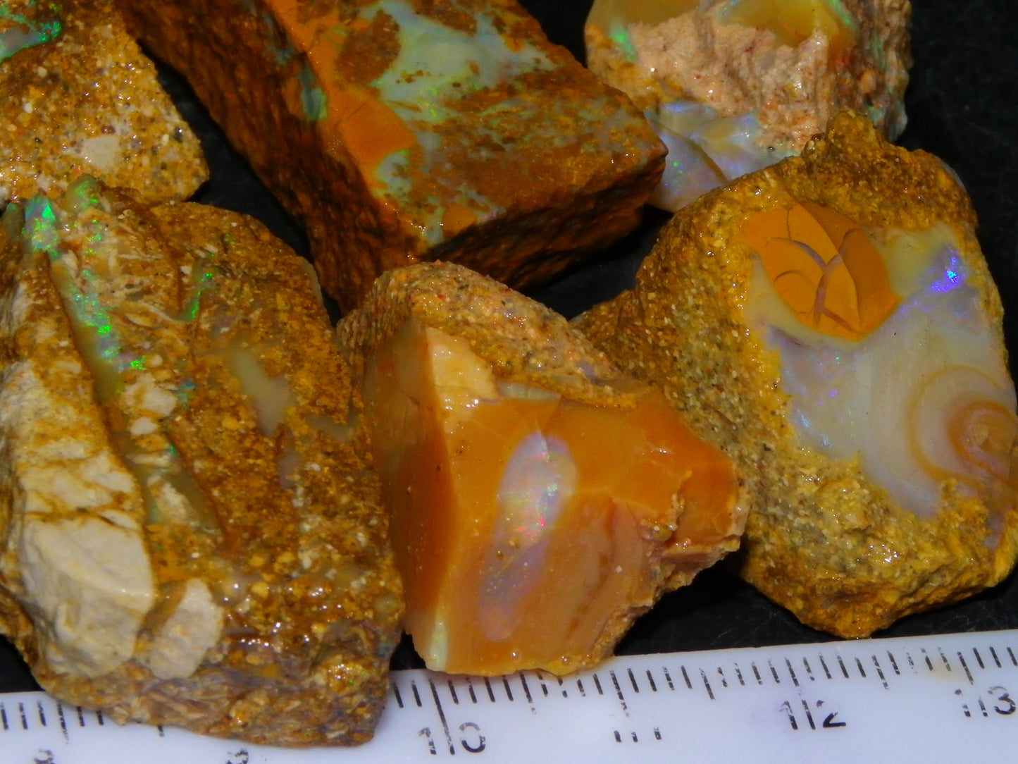 Nice Rough Sliced Opalton Fossil/Crystal/Boulder Opals 615cts Green/Blue Fires/Pattern