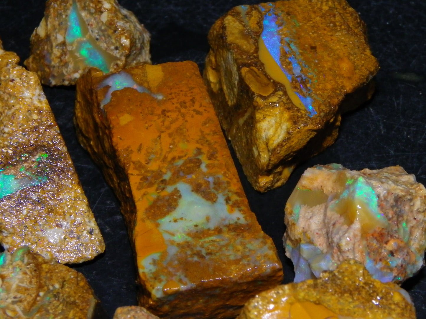 Nice Rough Sliced Opalton Fossil/Crystal/Boulder Opals 615cts Green/Blue Fires/Pattern