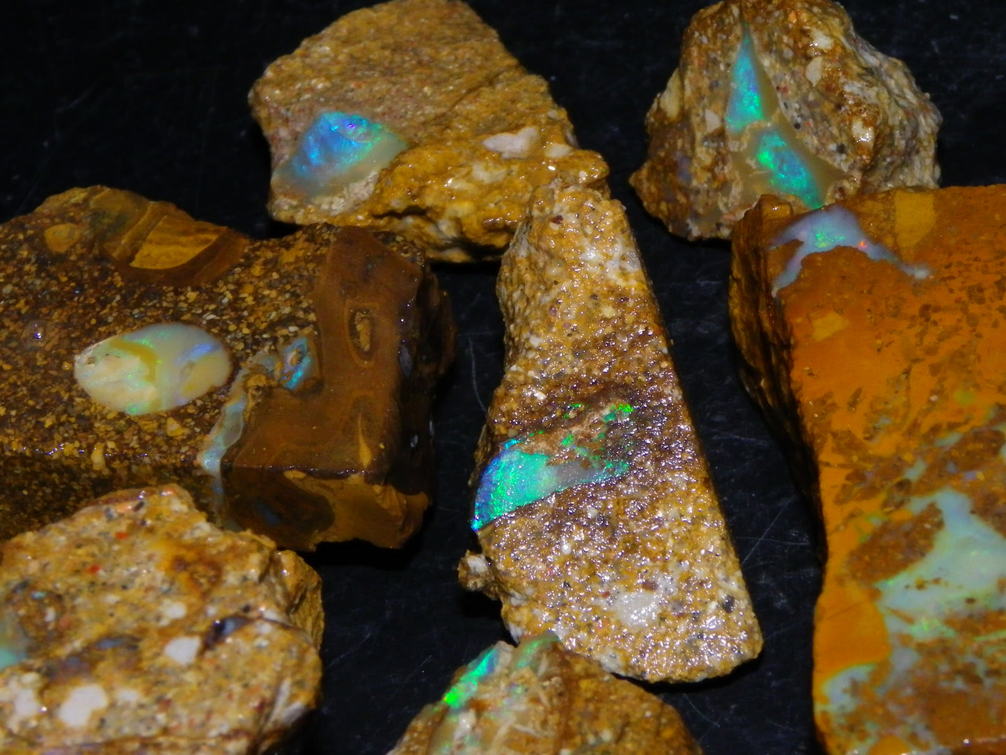 Nice Rough Sliced Opalton Fossil/Crystal/Boulder Opals 615cts Green/Blue Fires/Pattern