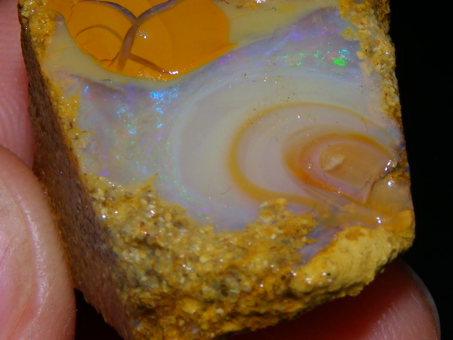 Nice Rough Sliced Opalton Fossil/Crystal/Boulder Opals 615cts Green/Blue Fires/Pattern