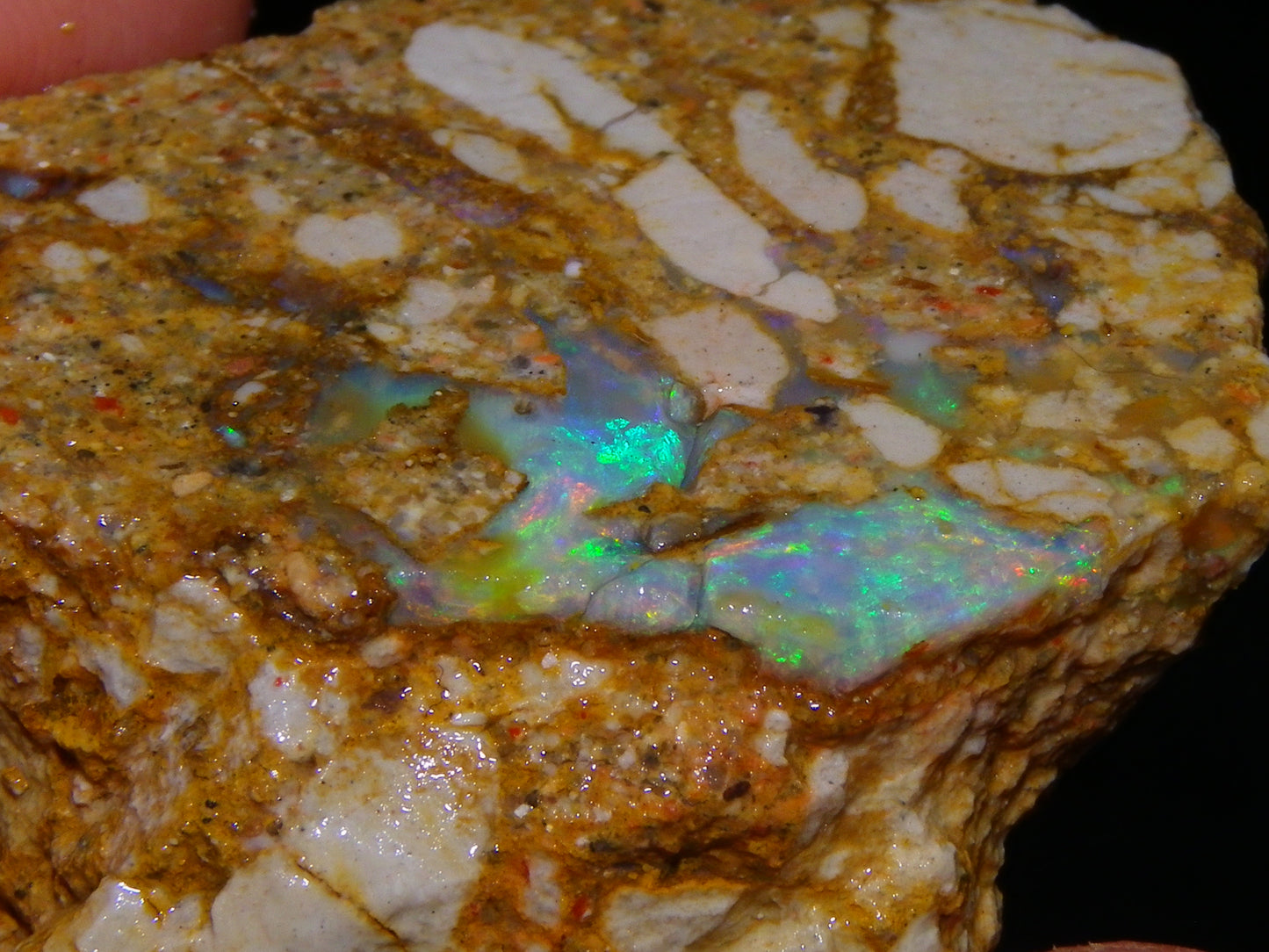 Nice Rough Sliced Opalton Fossil/Crystal/Boulder Opals 615cts Green/Blue Fires/Pattern