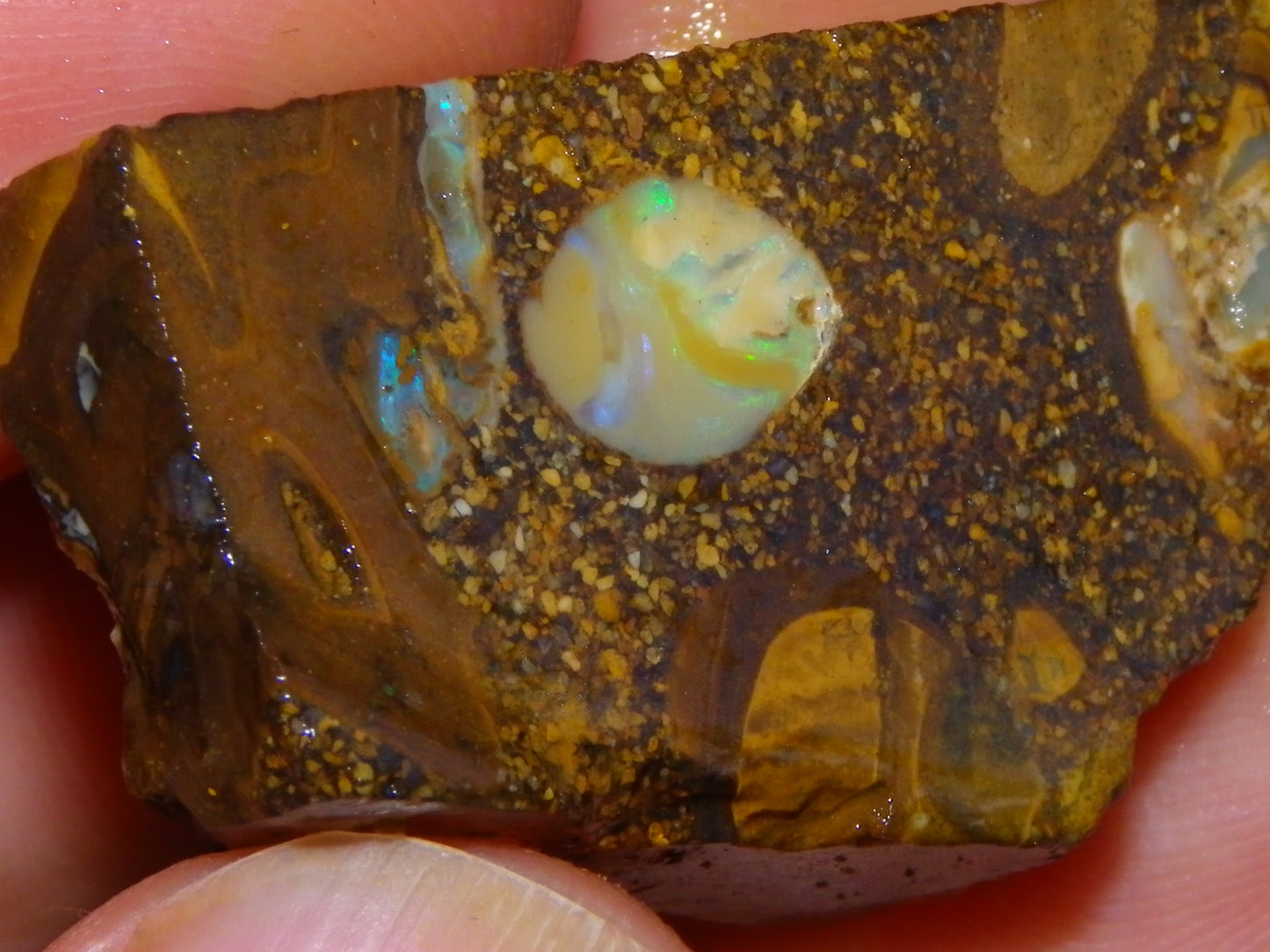 Nice Rough Sliced Opalton Fossil/Crystal/Boulder Opals 615cts Green/Blue Fires/Pattern