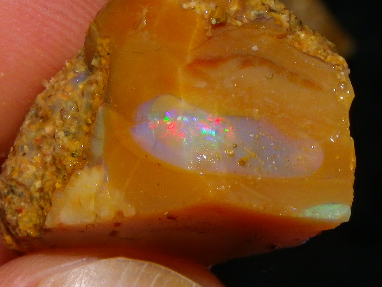 Nice Rough Sliced Opalton Fossil/Crystal/Boulder Opals 615cts Green/Blue Fires/Pattern