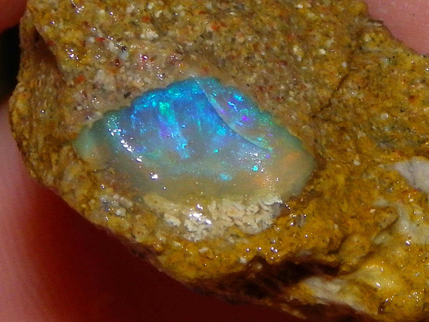 Nice Rough Sliced Opalton Fossil/Crystal/Boulder Opals 615cts Green/Blue Fires/Pattern