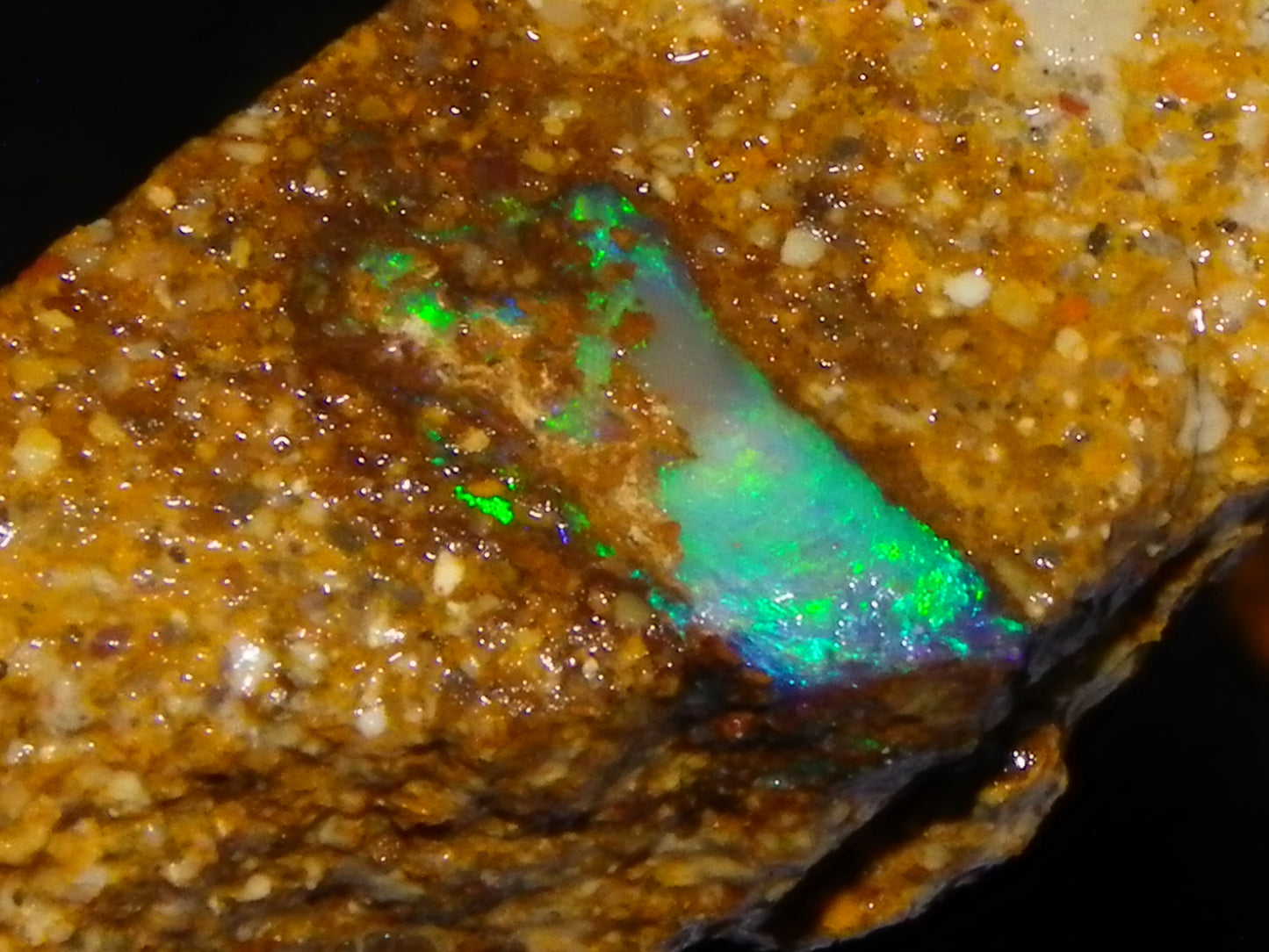 Nice Rough Sliced Opalton Fossil/Crystal/Boulder Opals 615cts Green/Blue Fires/Pattern