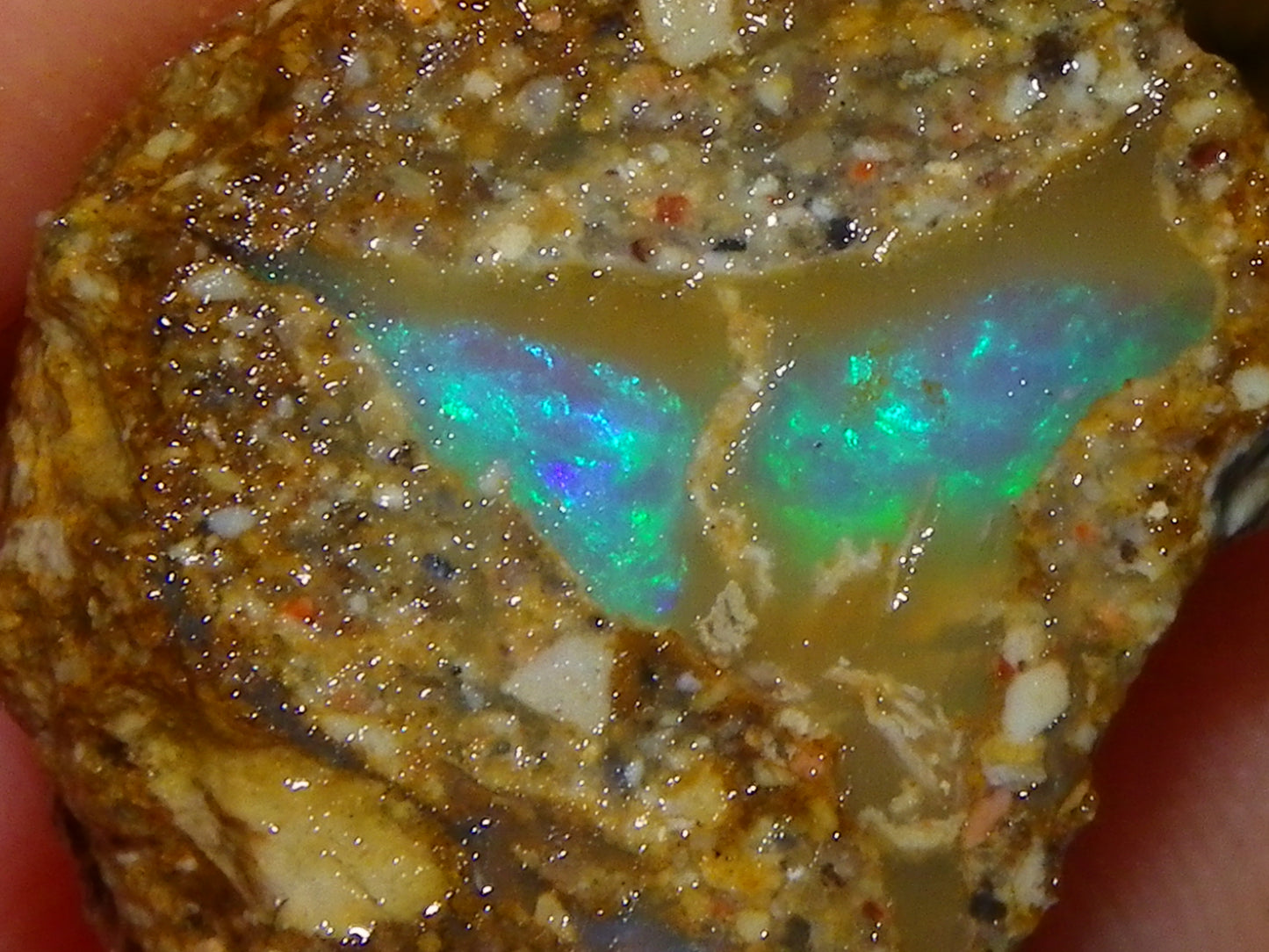 Nice Rough Sliced Opalton Fossil/Crystal/Boulder Opals 615cts Green/Blue Fires/Pattern