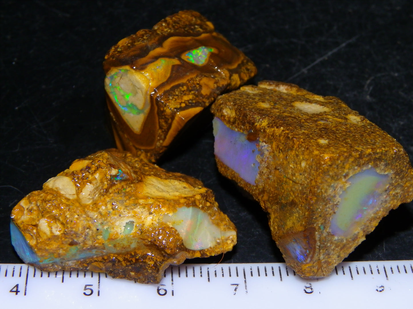 3 Nice Pipe/Crystal Opal Rough specimens 174.5cts Queensland, Opalton Australia