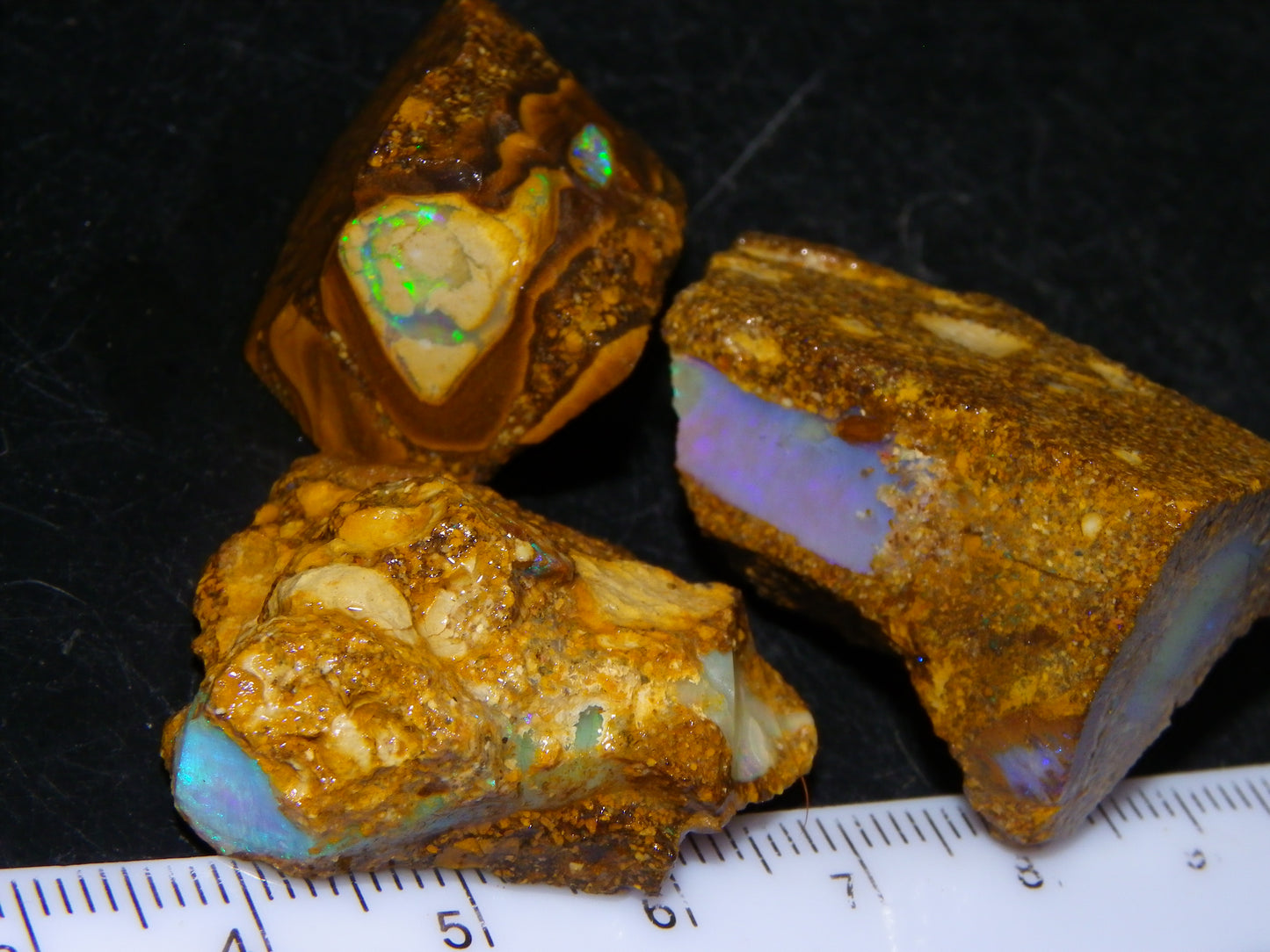 3 Nice Pipe/Crystal Opal Rough specimens 174.5cts Queensland, Opalton Australia