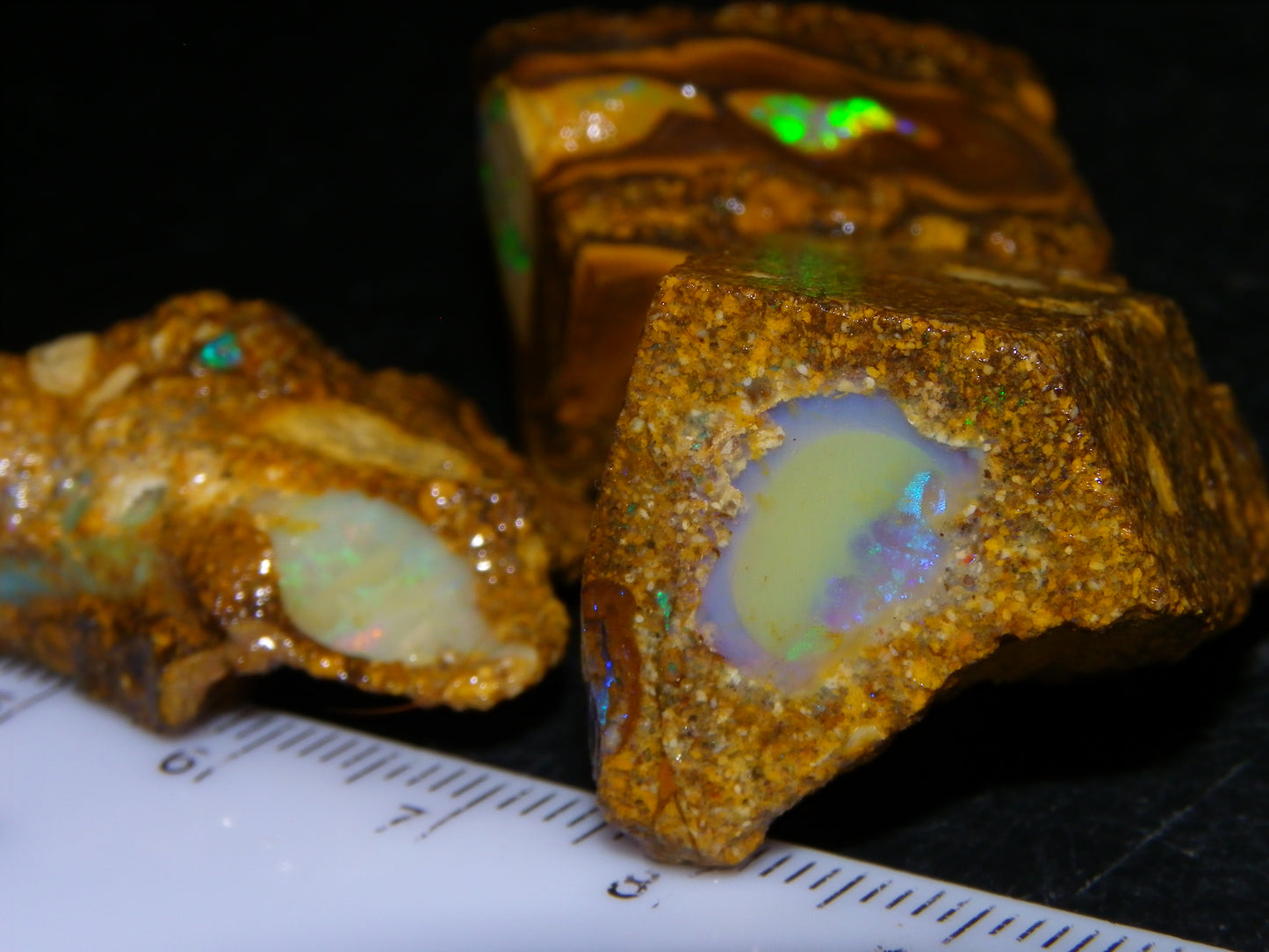 3 Nice Pipe/Crystal Opal Rough specimens 174.5cts Queensland, Opalton Australia