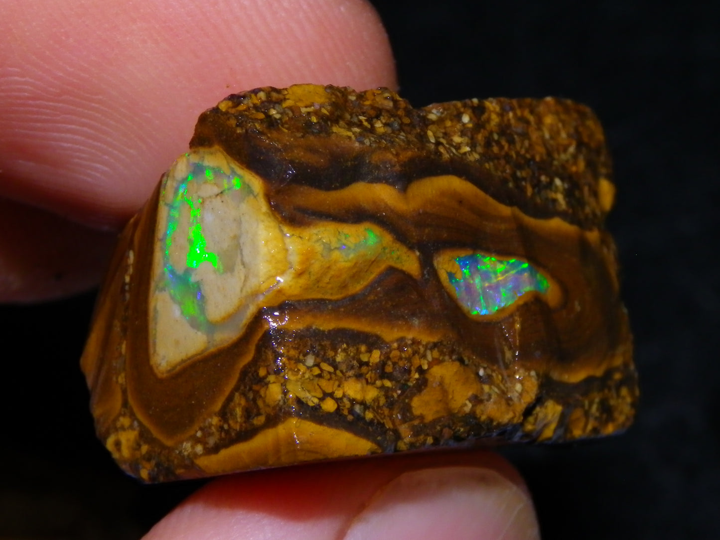 3 Nice Pipe/Crystal Opal Rough specimens 174.5cts Queensland, Opalton Australia