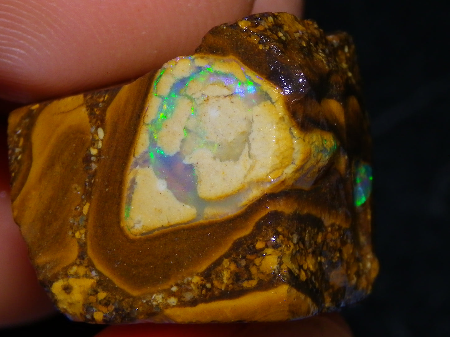 3 Nice Pipe/Crystal Opal Rough specimens 174.5cts Queensland, Opalton Australia